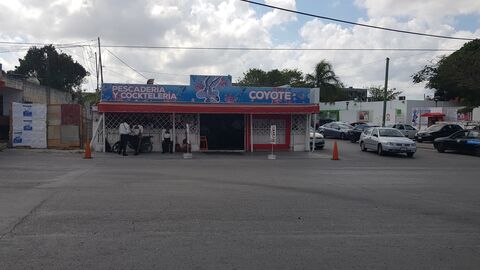 El Coyote ll image 1