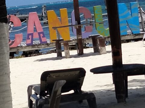 Cocos and Grill image 7