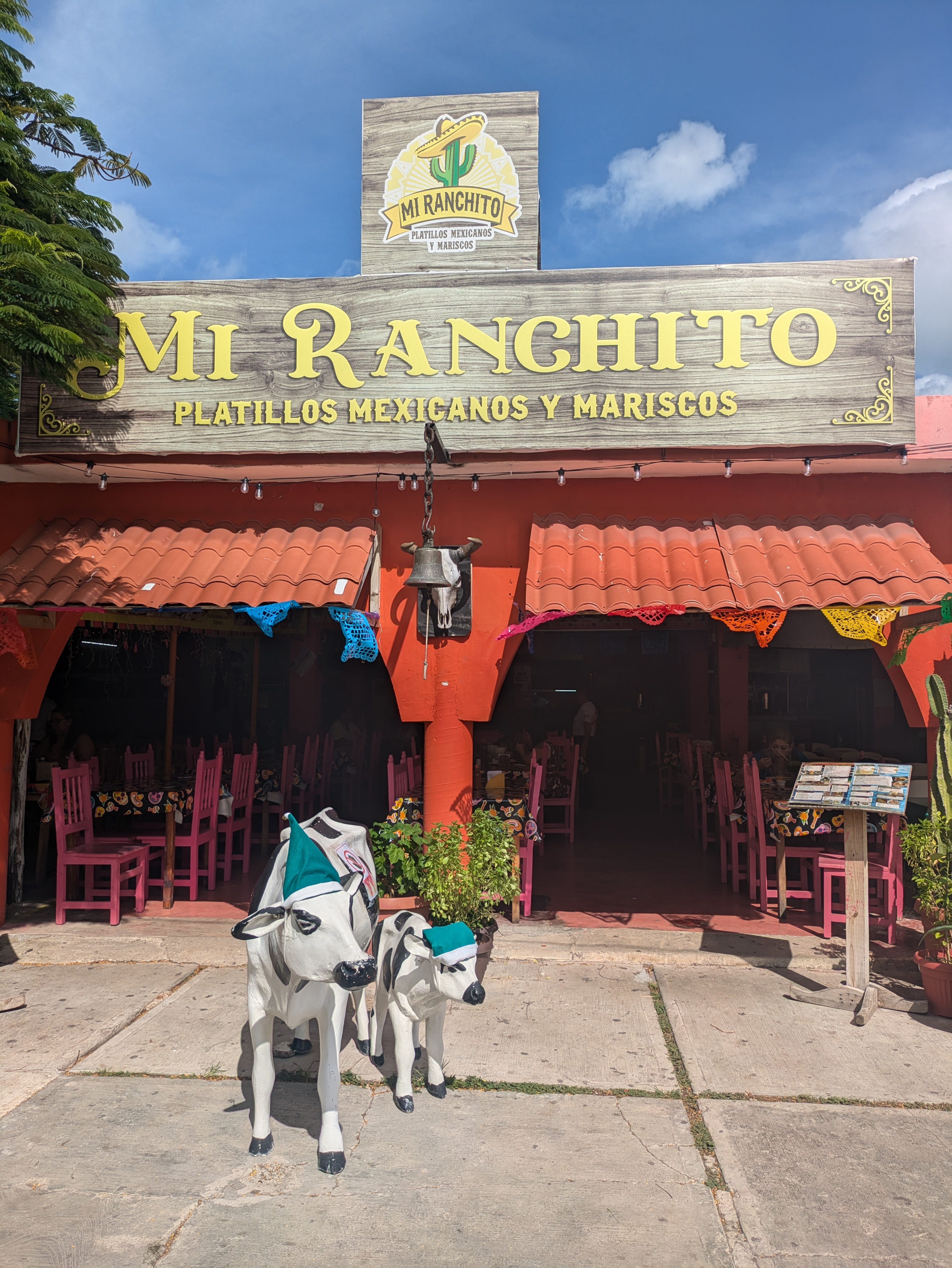 Mi ranchito restaurant image 1