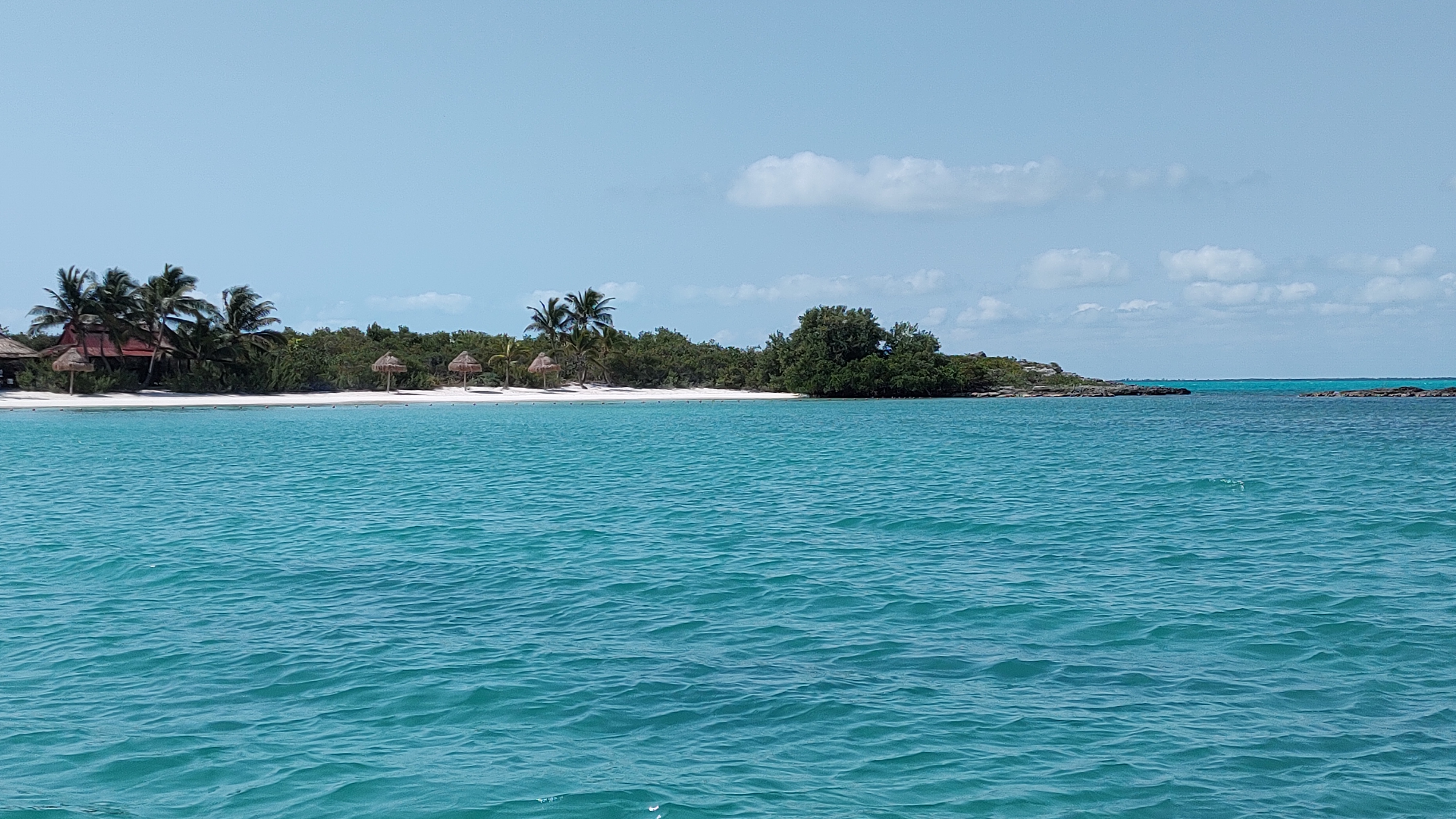 Restaurante Isla Contoy image 7