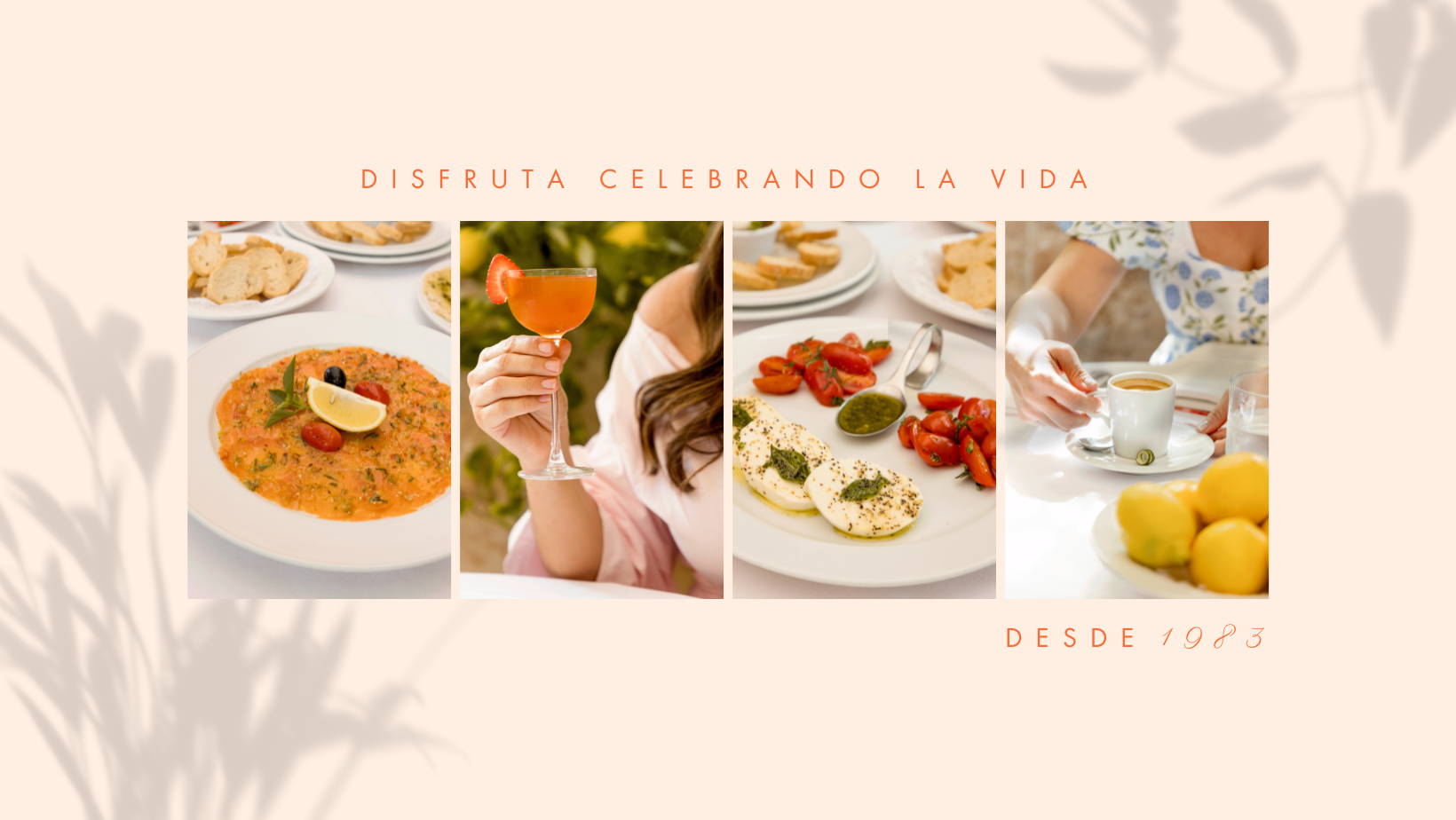 La Dolce Vita image 4