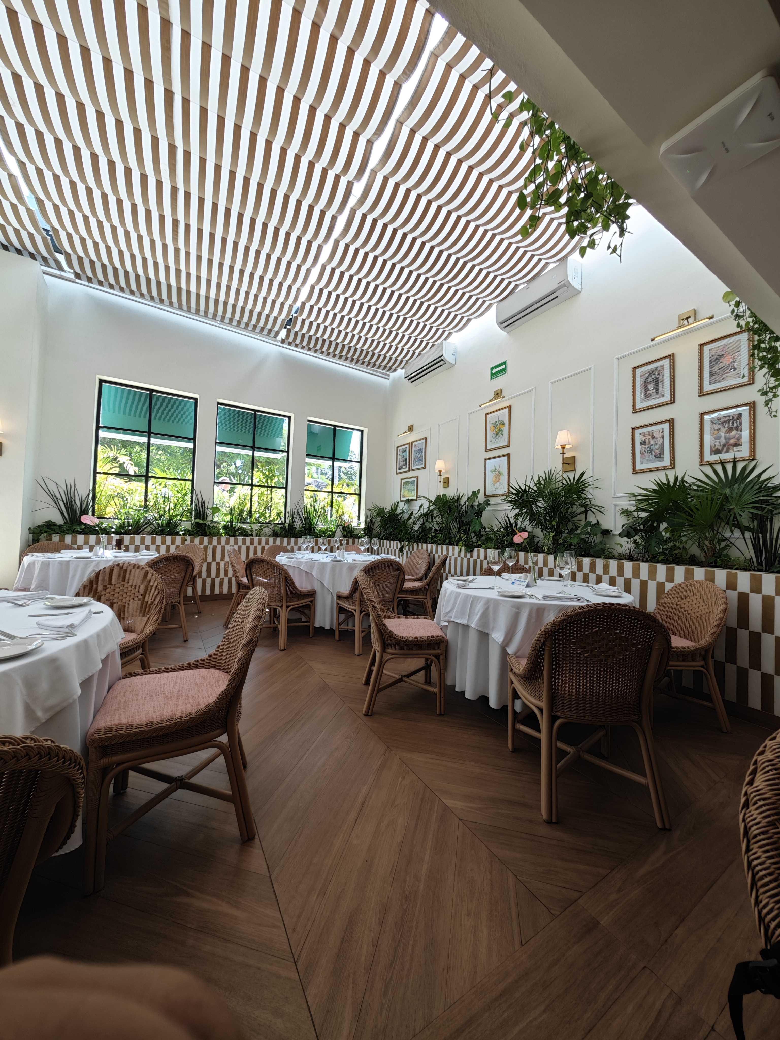 La Dolce Vita image 5