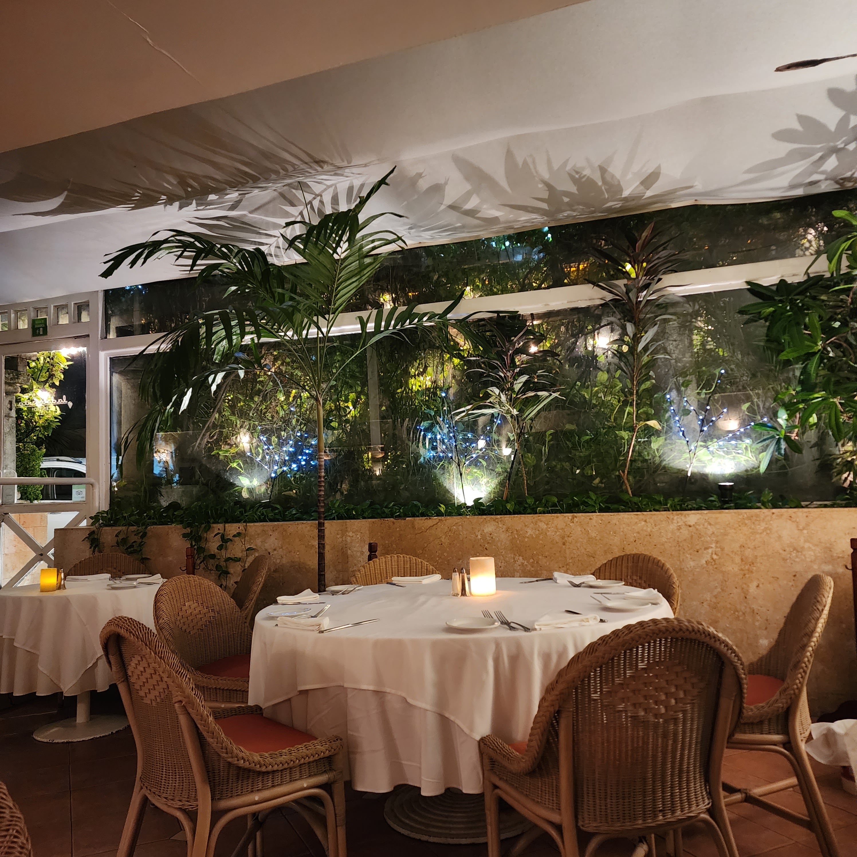 La Dolce Vita image 8