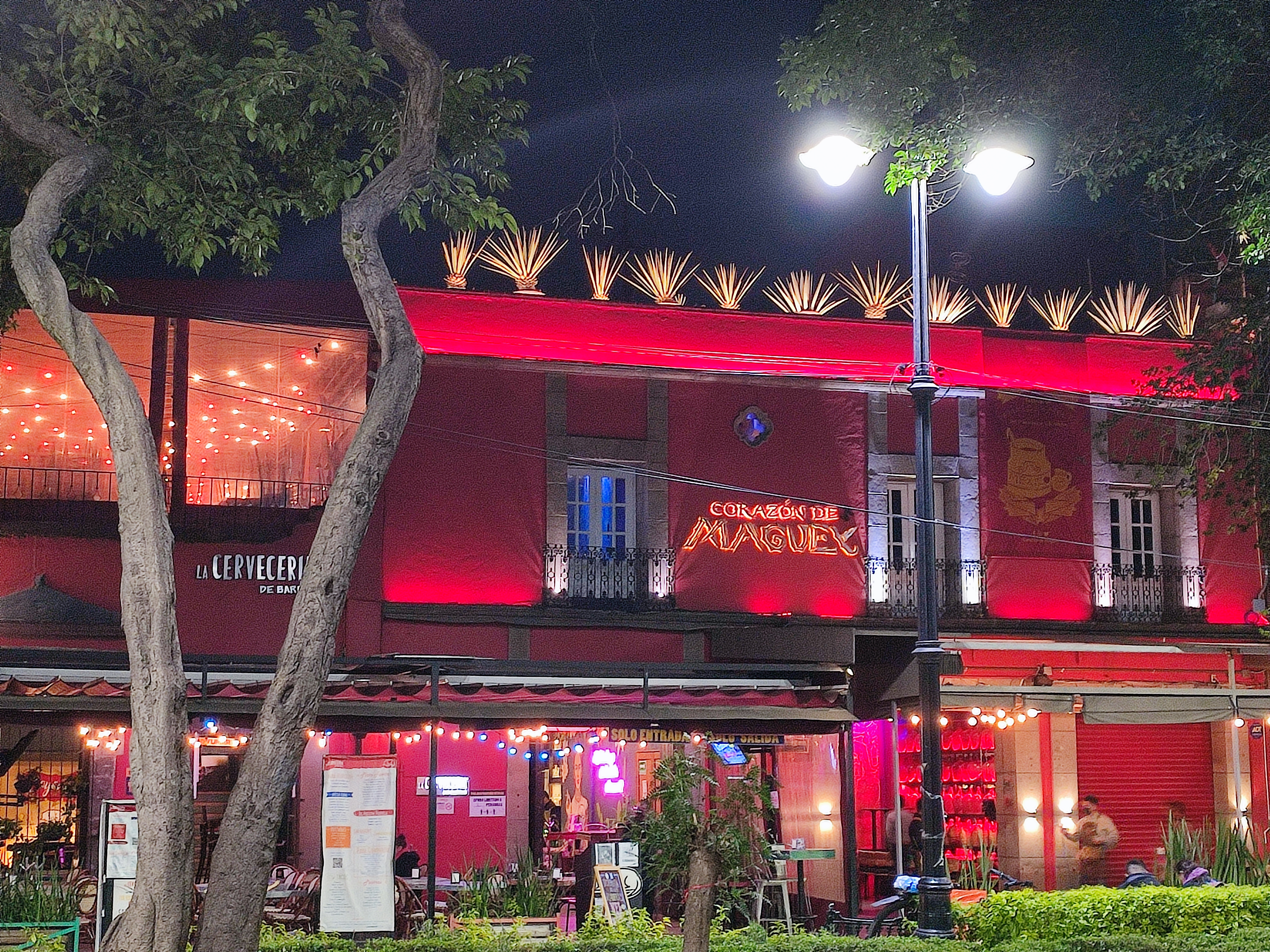 Corazón de Maguey image 8