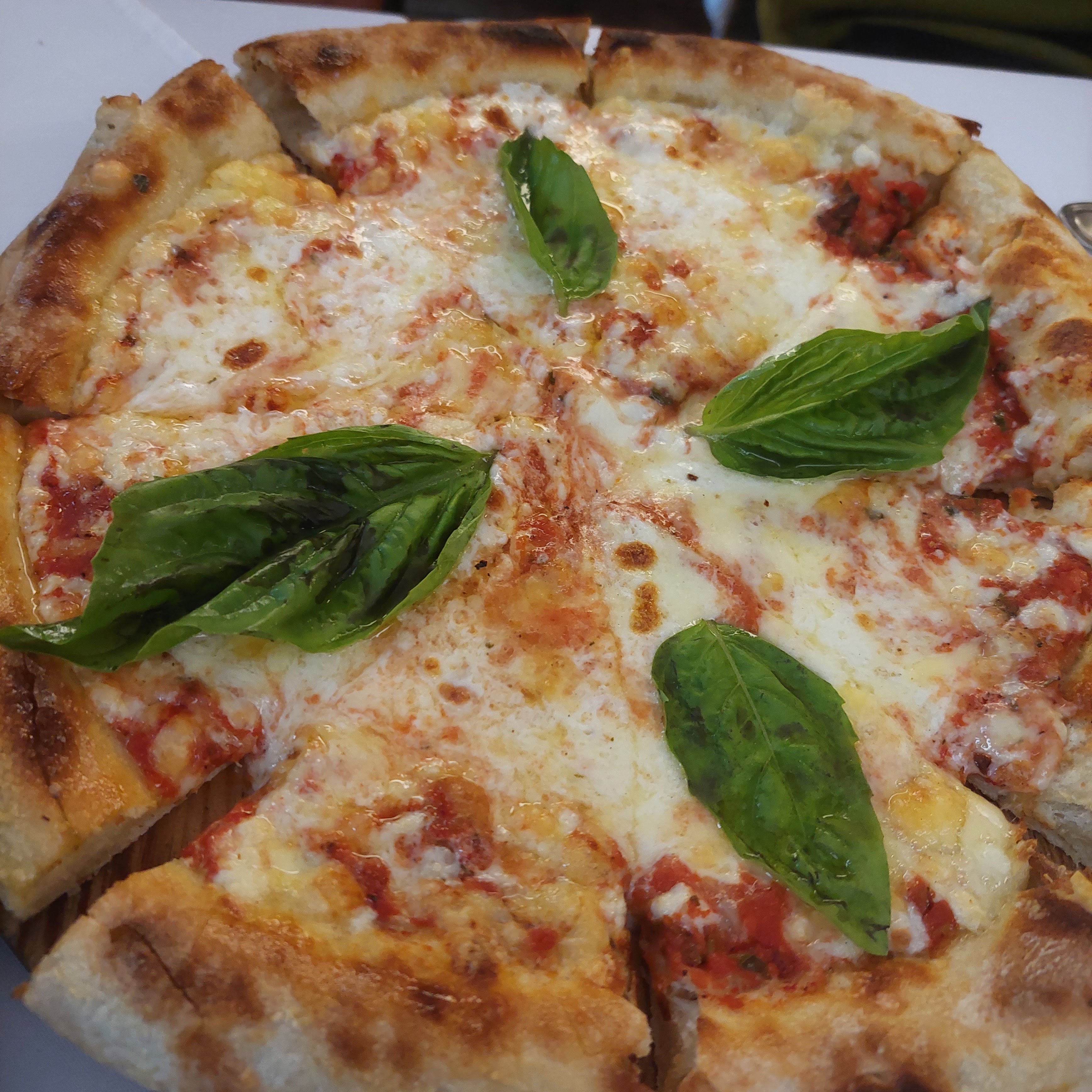 Raffaelle Trattoria image 2