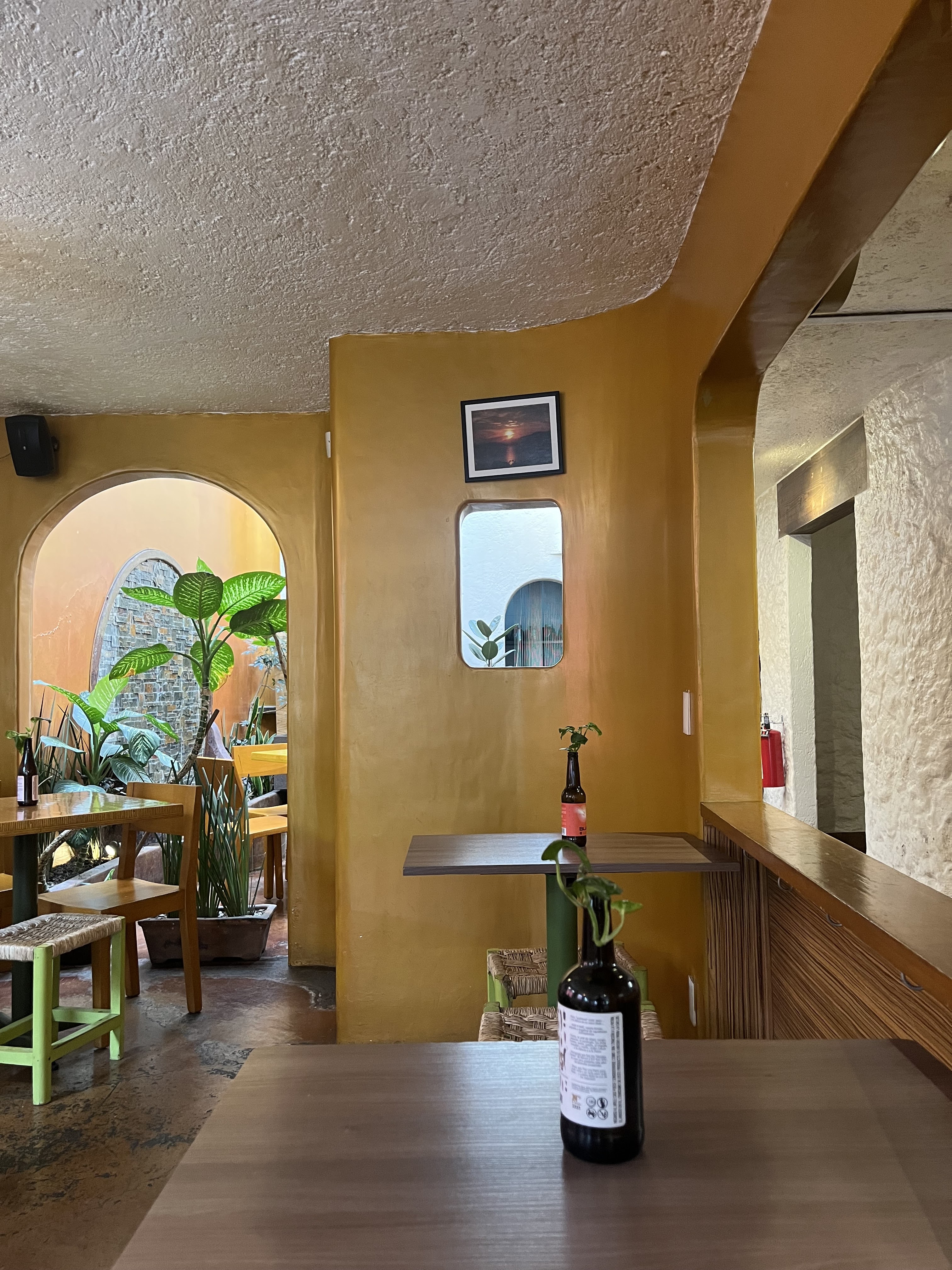 Ecos del Mundo image 8