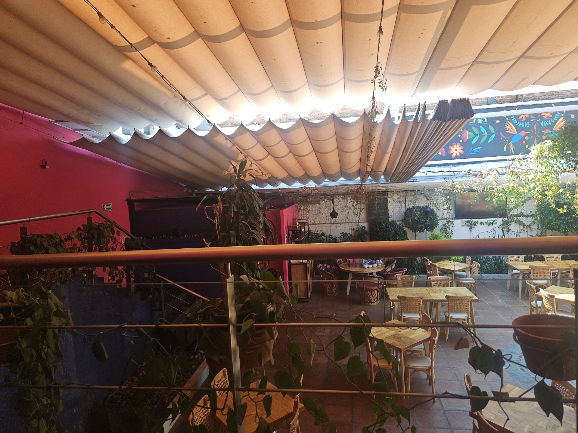 Restaurante Azul Maguey image 2