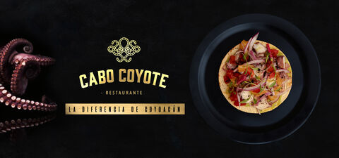 Cabo Coyote image 2