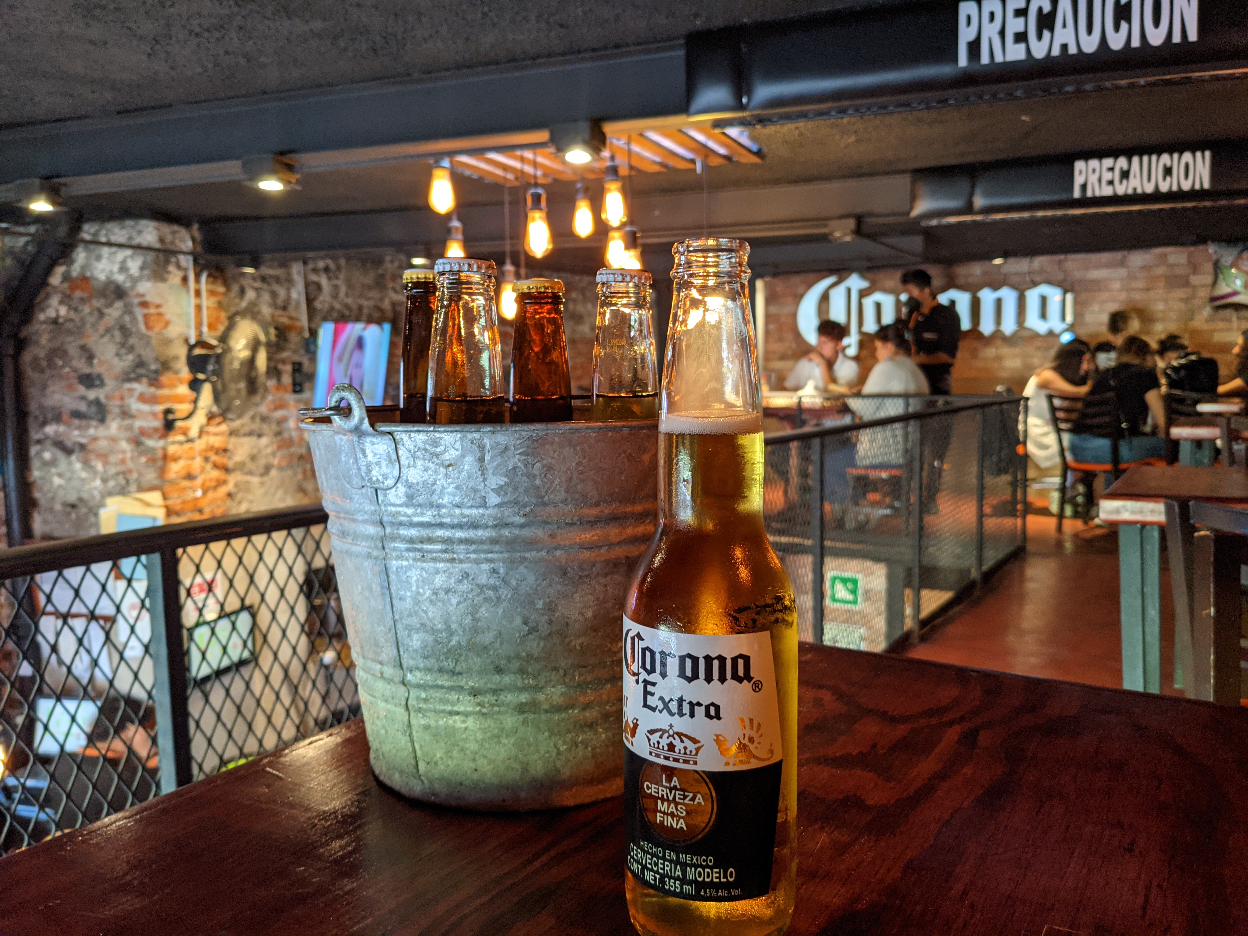 COYOTE HAMBRIENTO image 1