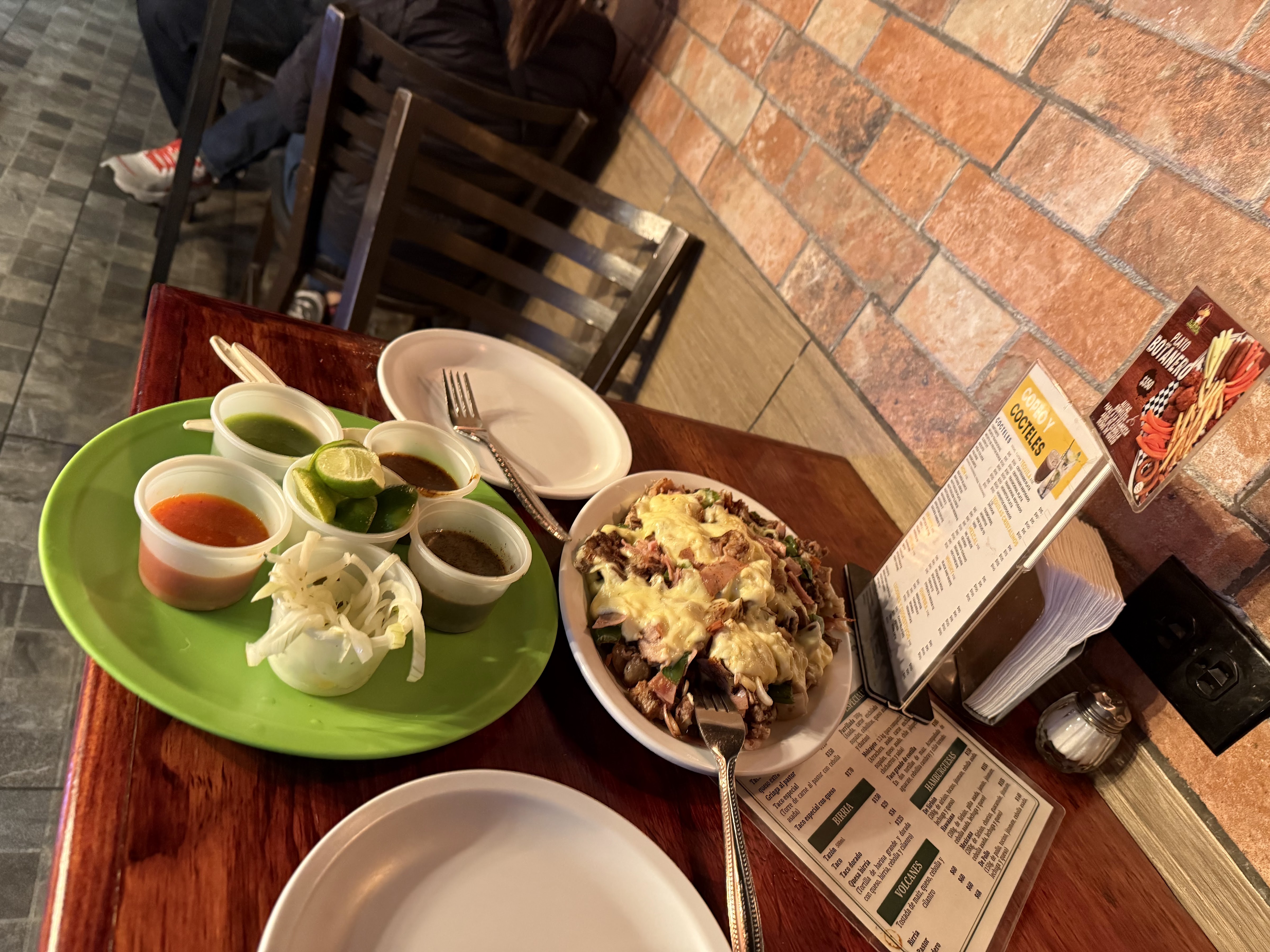 COYOTE HAMBRIENTO image 2