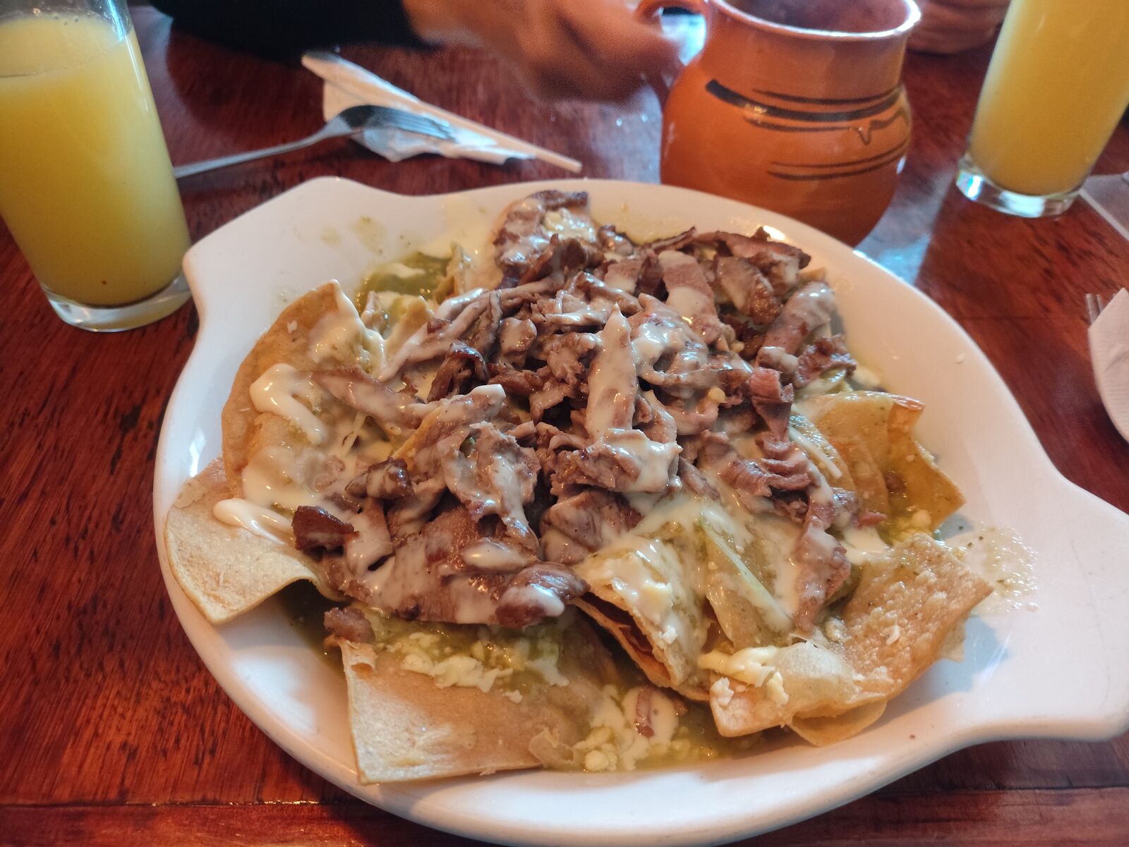 COYOTE HAMBRIENTO image 3