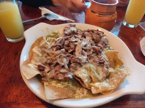 COYOTE HAMBRIENTO image 3