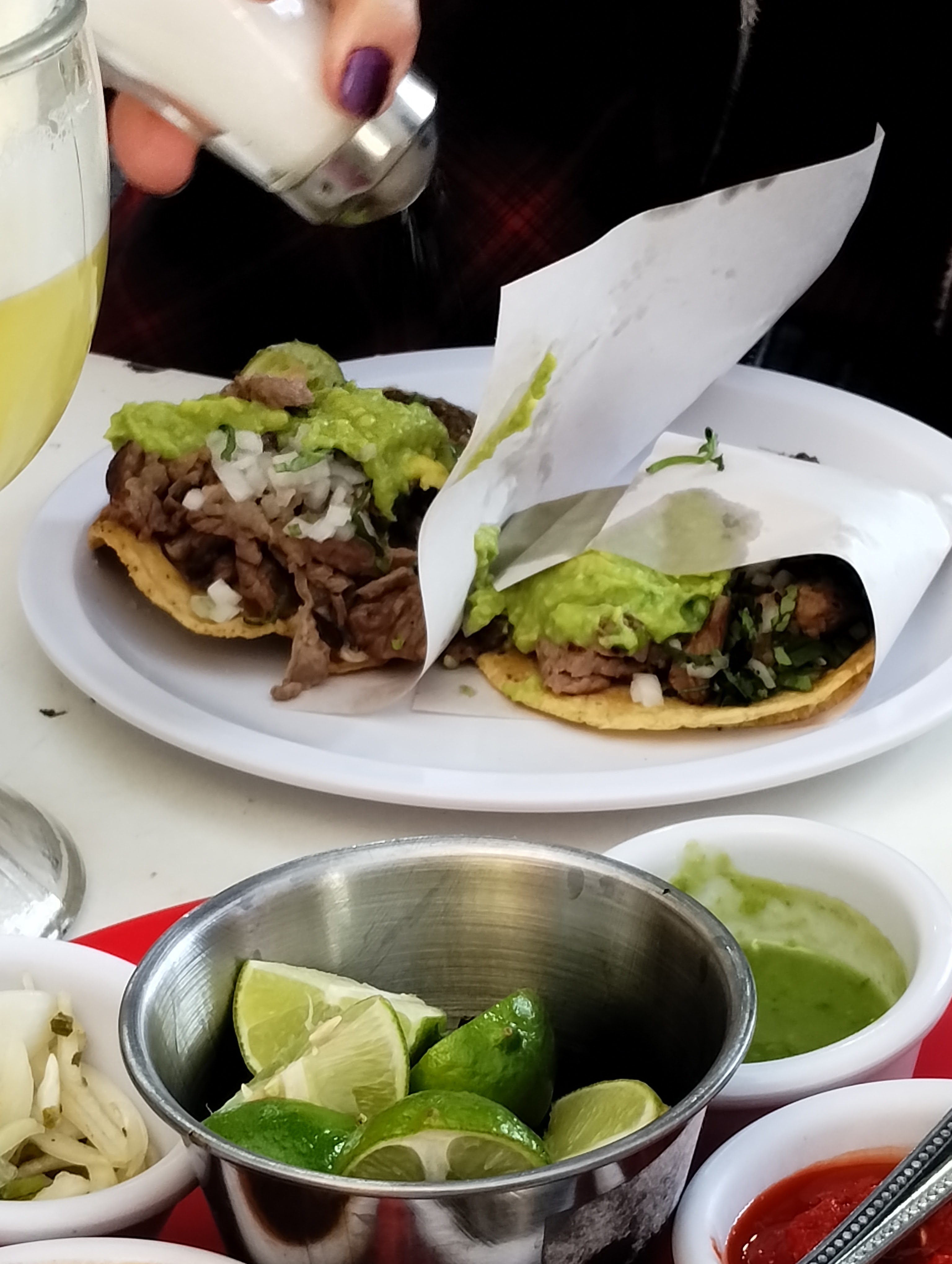 COYOTE HAMBRIENTO image 4