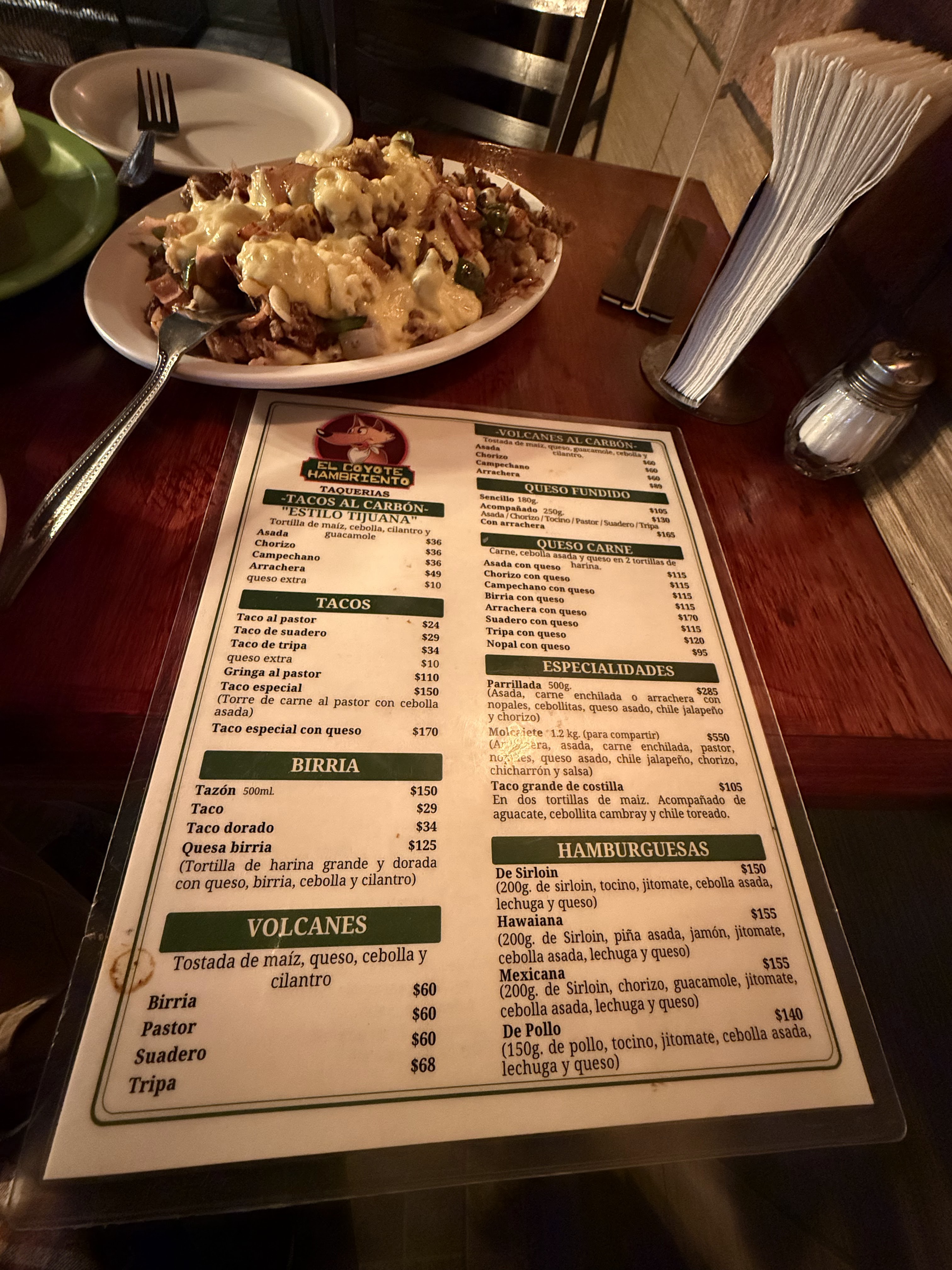 COYOTE HAMBRIENTO image 5