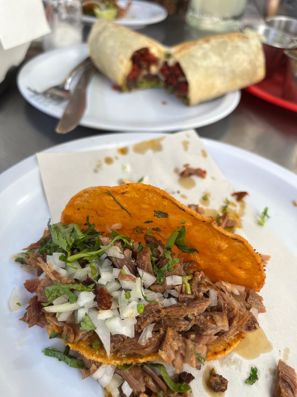 COYOTE HAMBRIENTO image 6