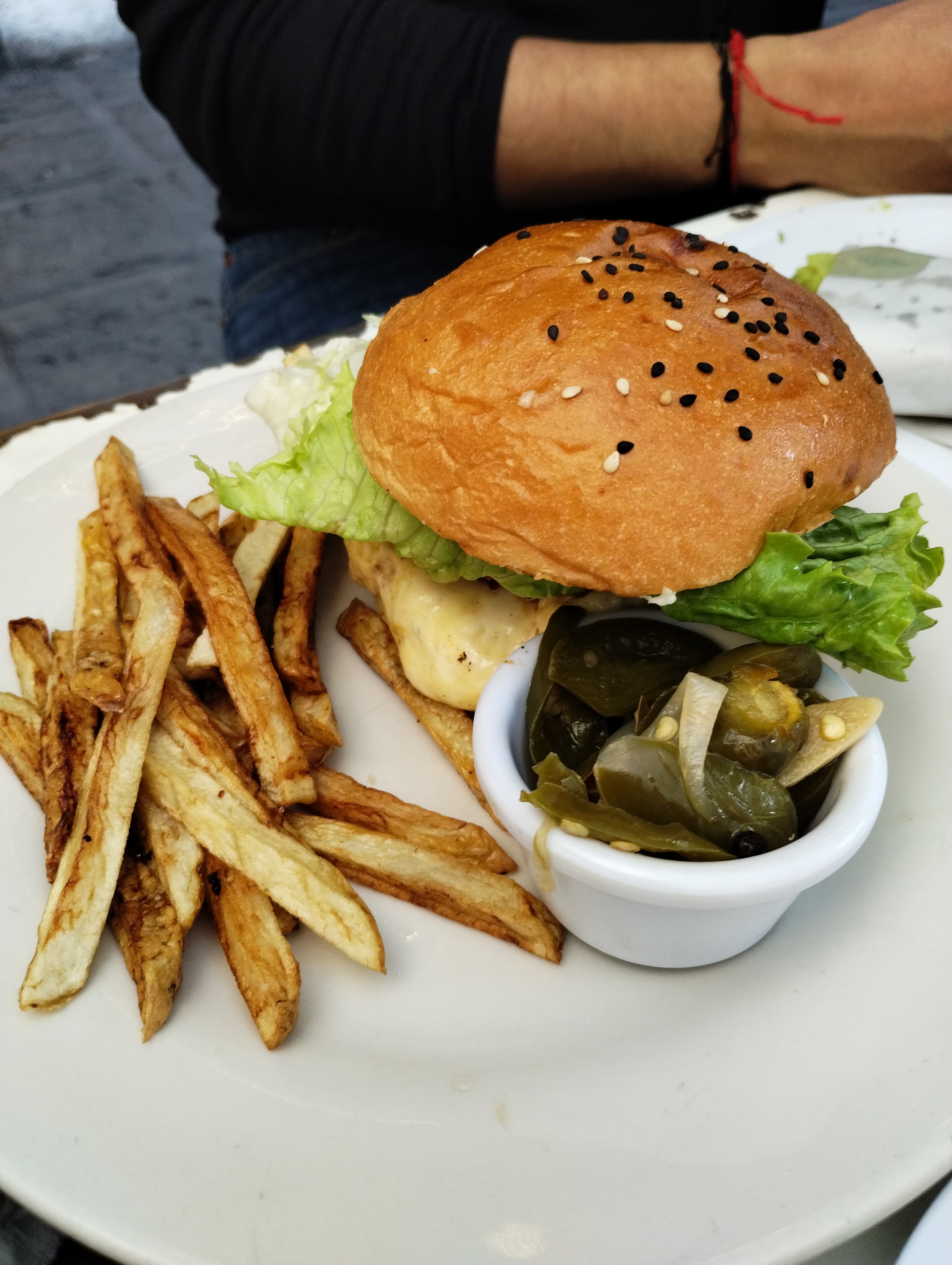 COYOTE HAMBRIENTO image 7