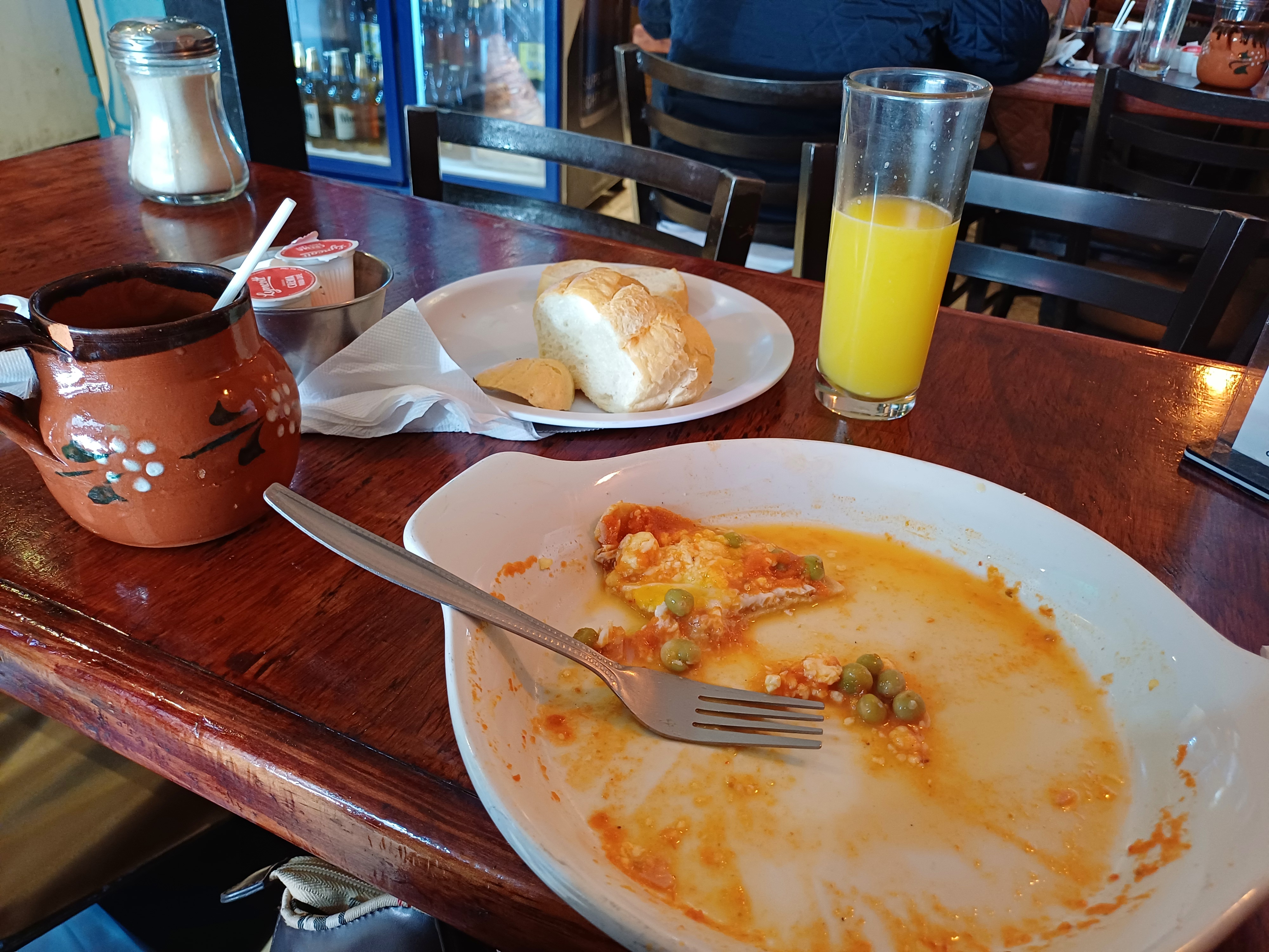 COYOTE HAMBRIENTO image 8