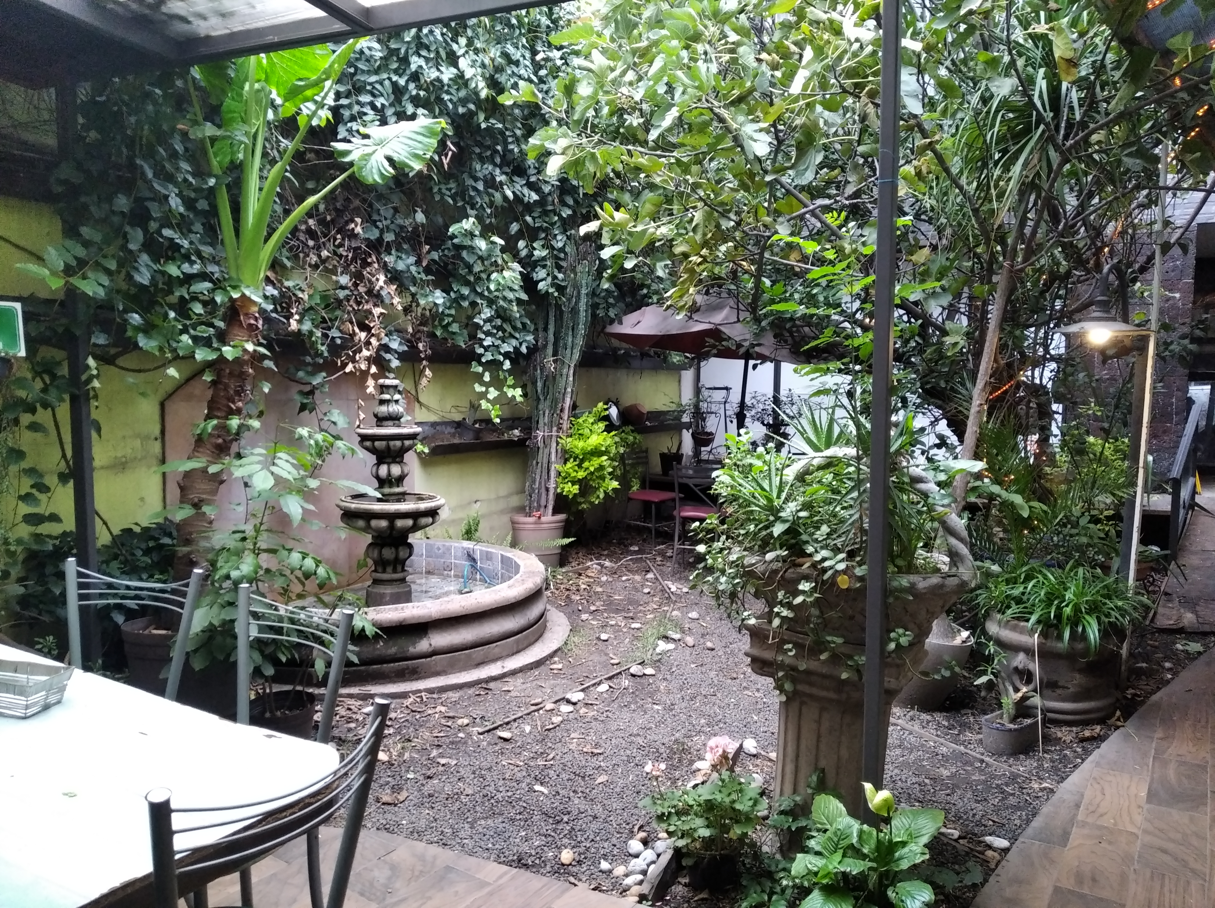 La Divina Comida image 1