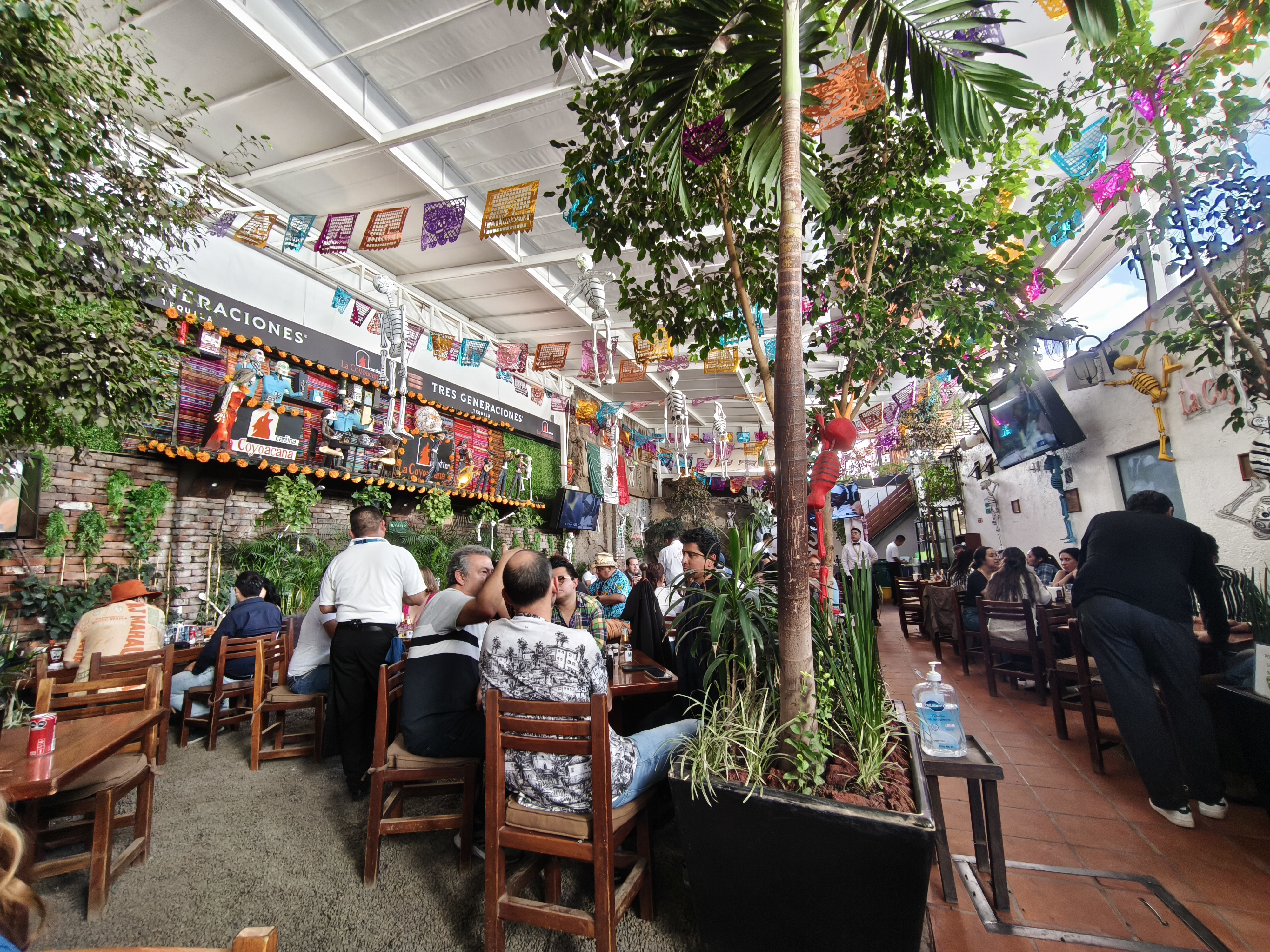 La Coyoacana image 5