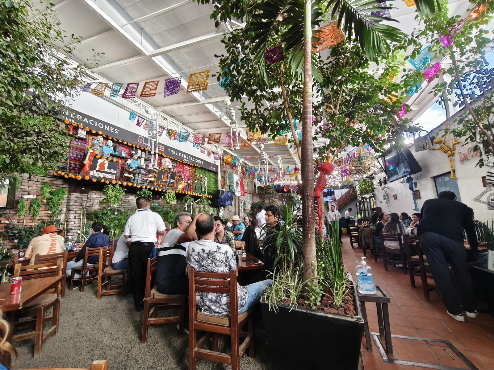 La Coyoacana image 5