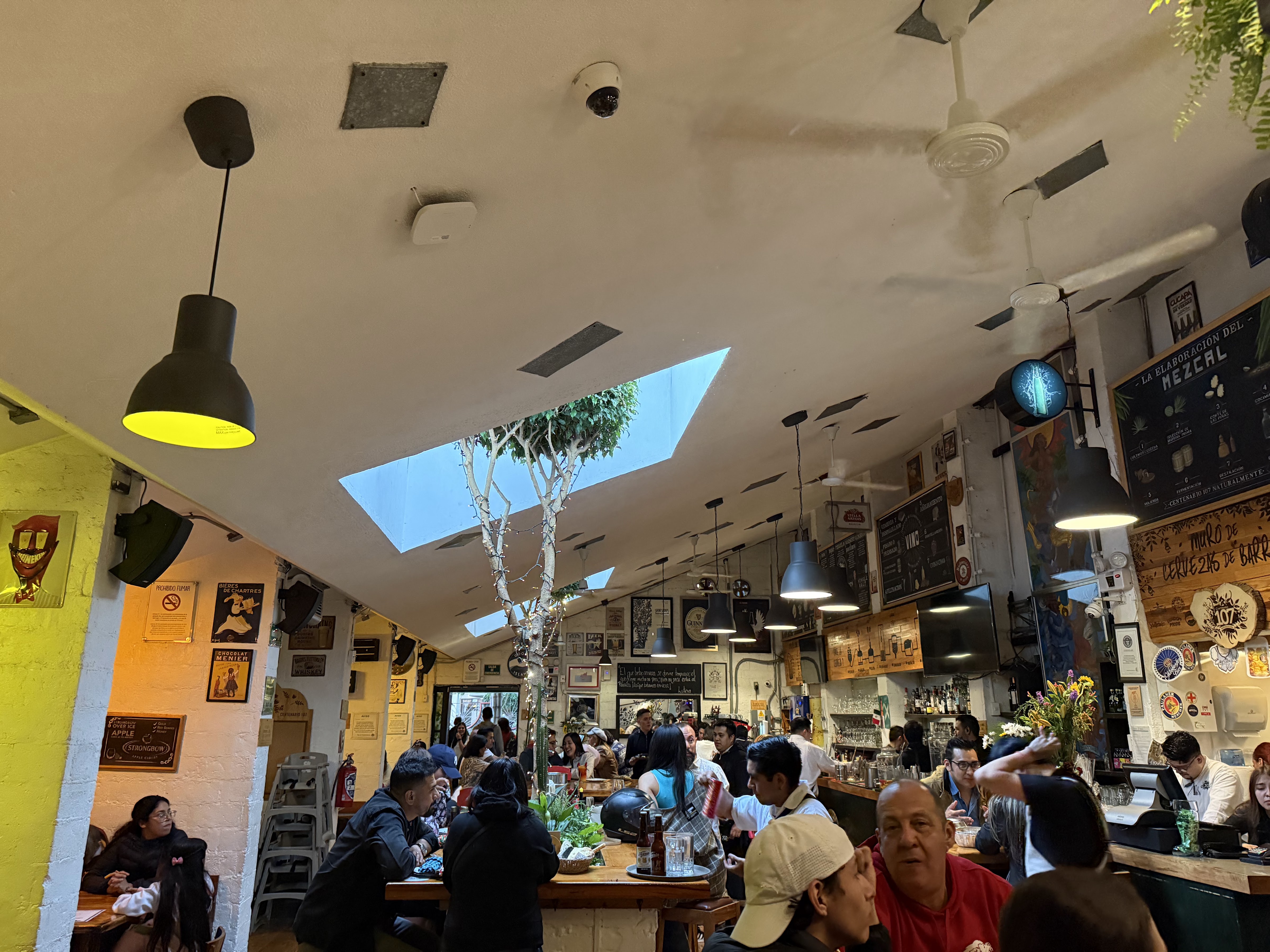 Centenario 107 image 4