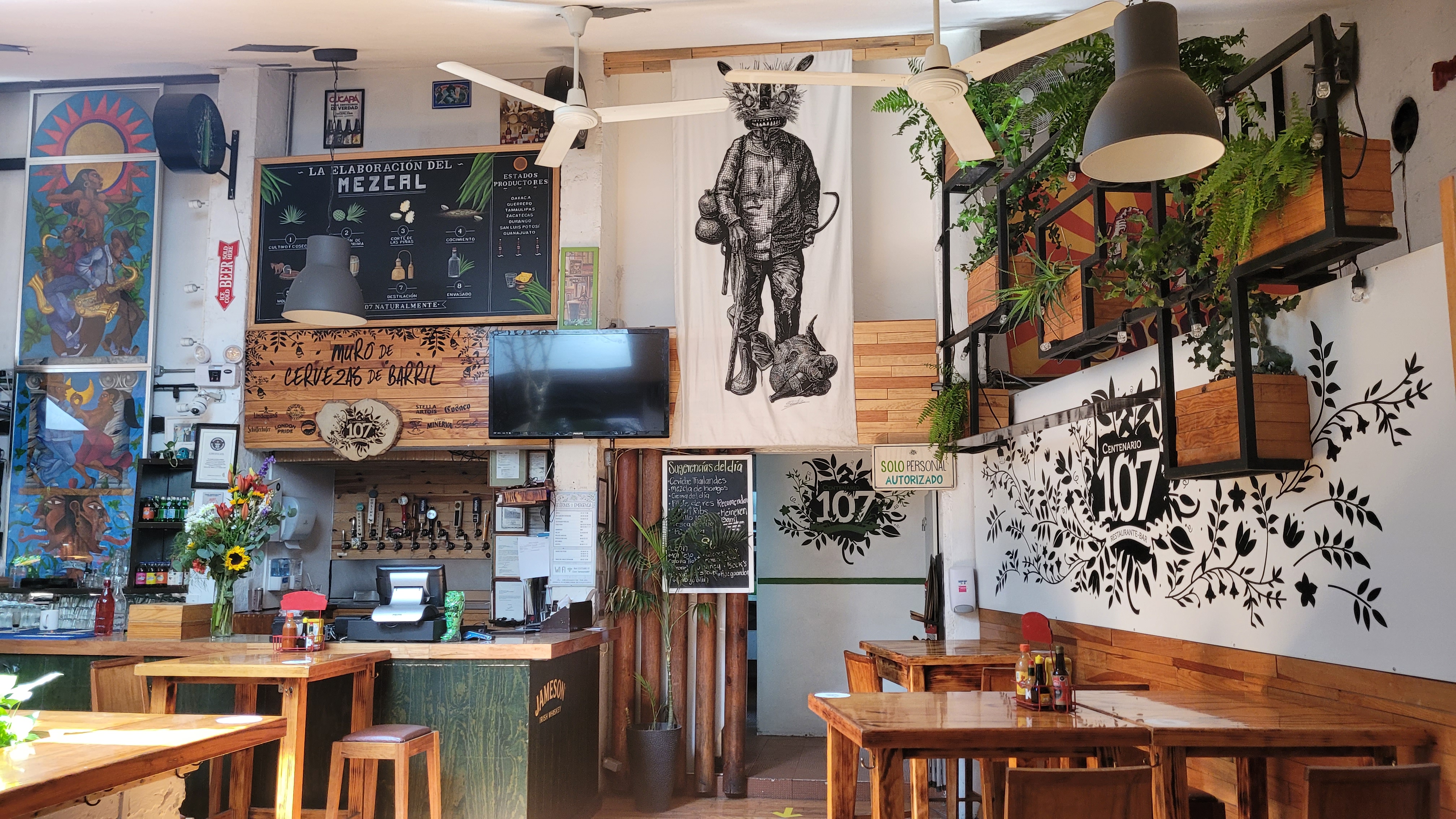 Centenario 107 image 6