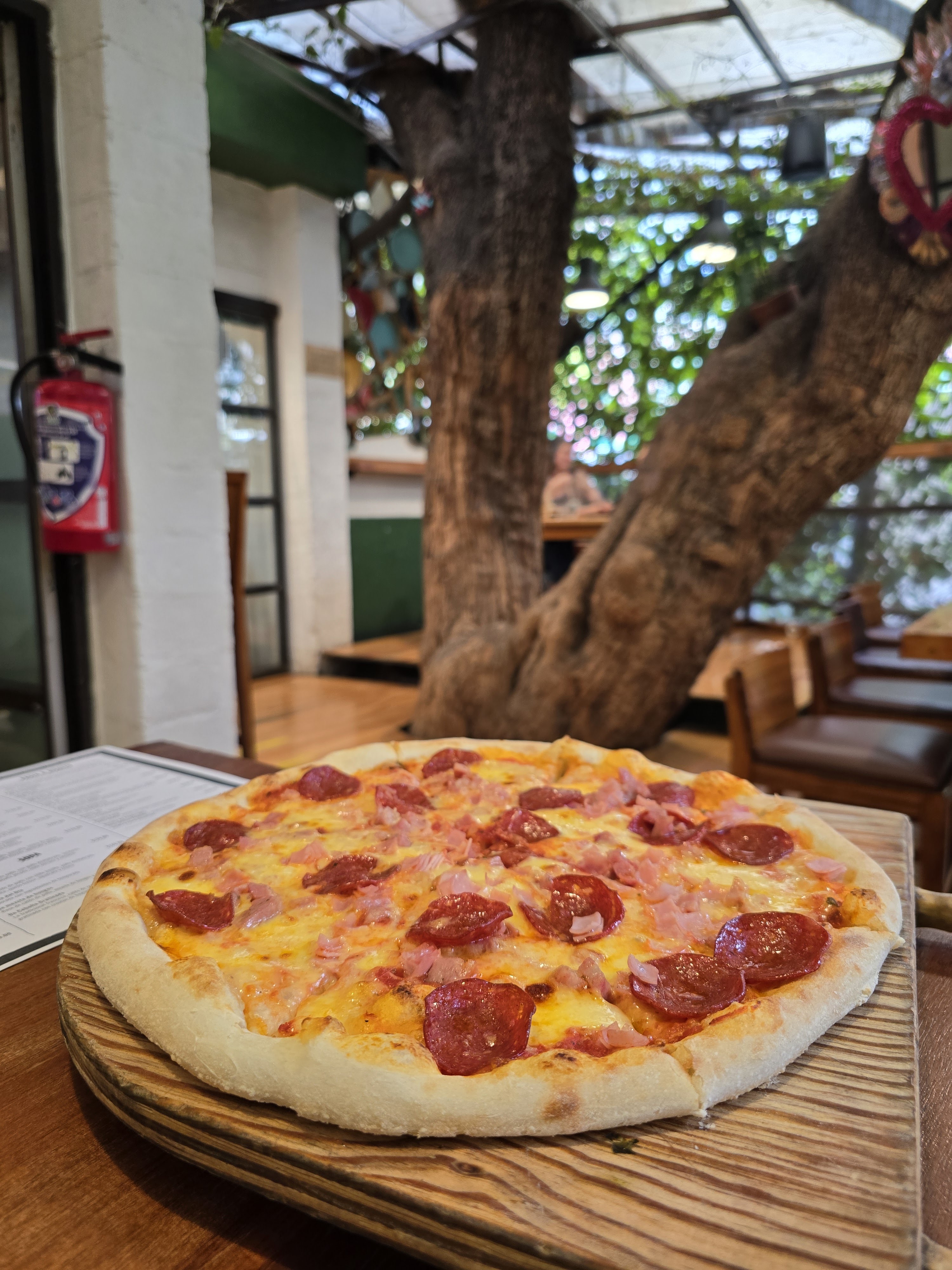 Centenario 107 image 8