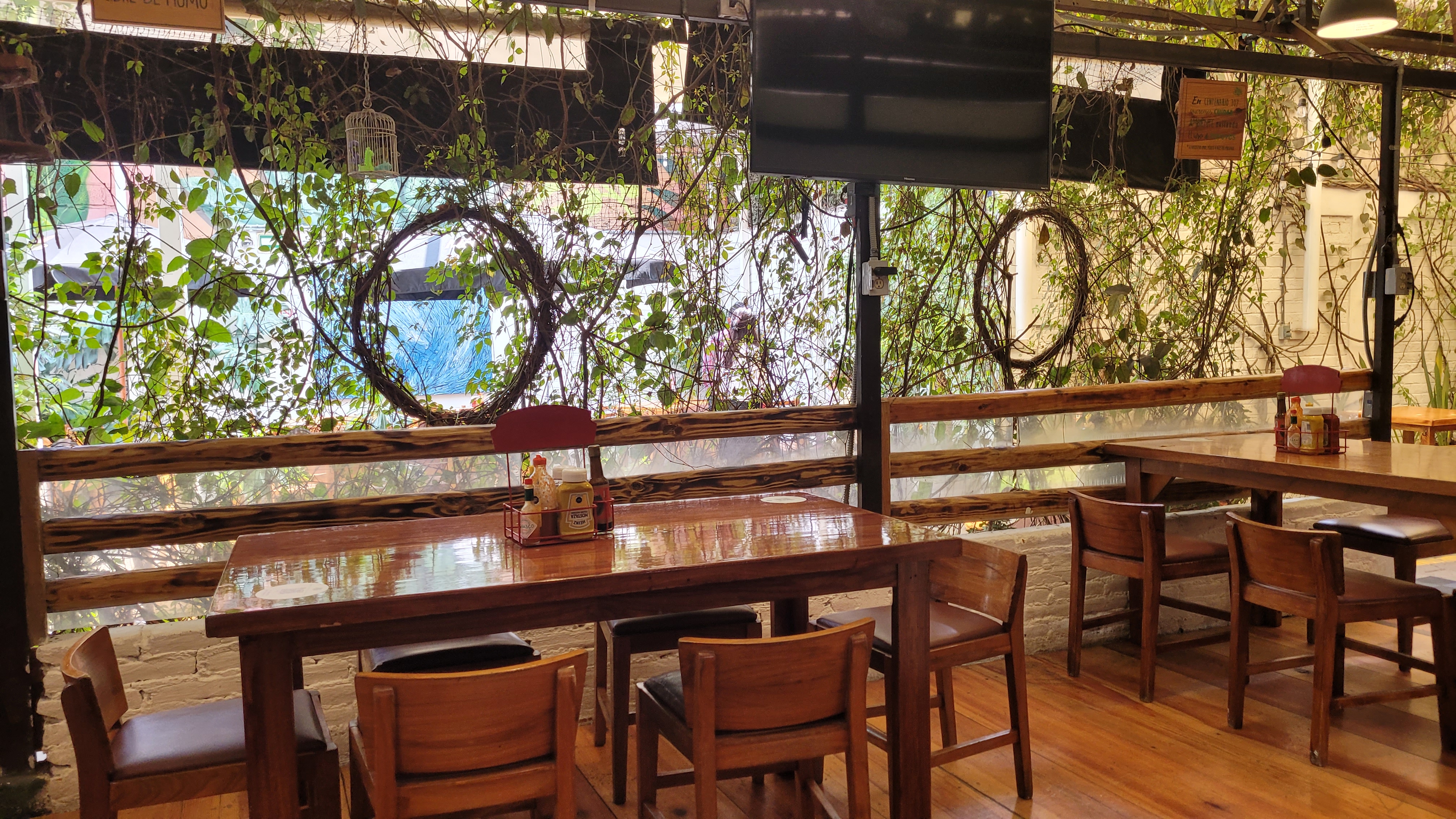 Centenario 107 image 10