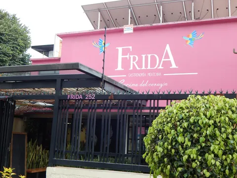 Frida image 1