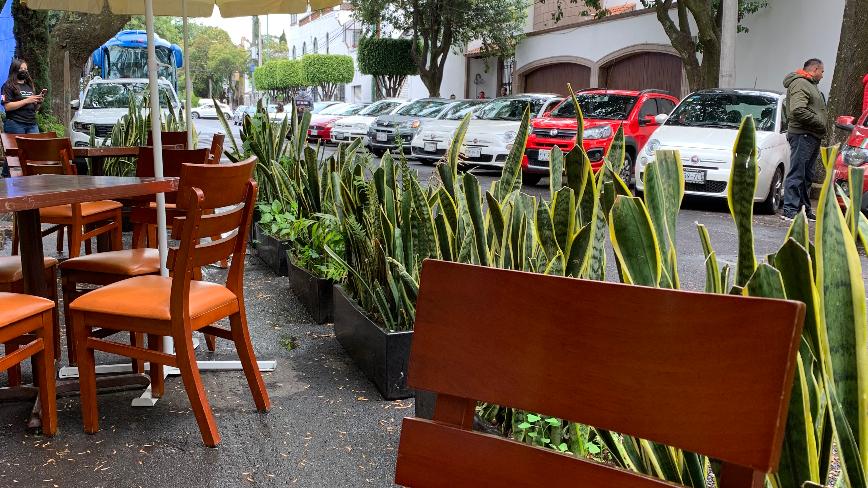 Cochinita Country Coyoacán image 1