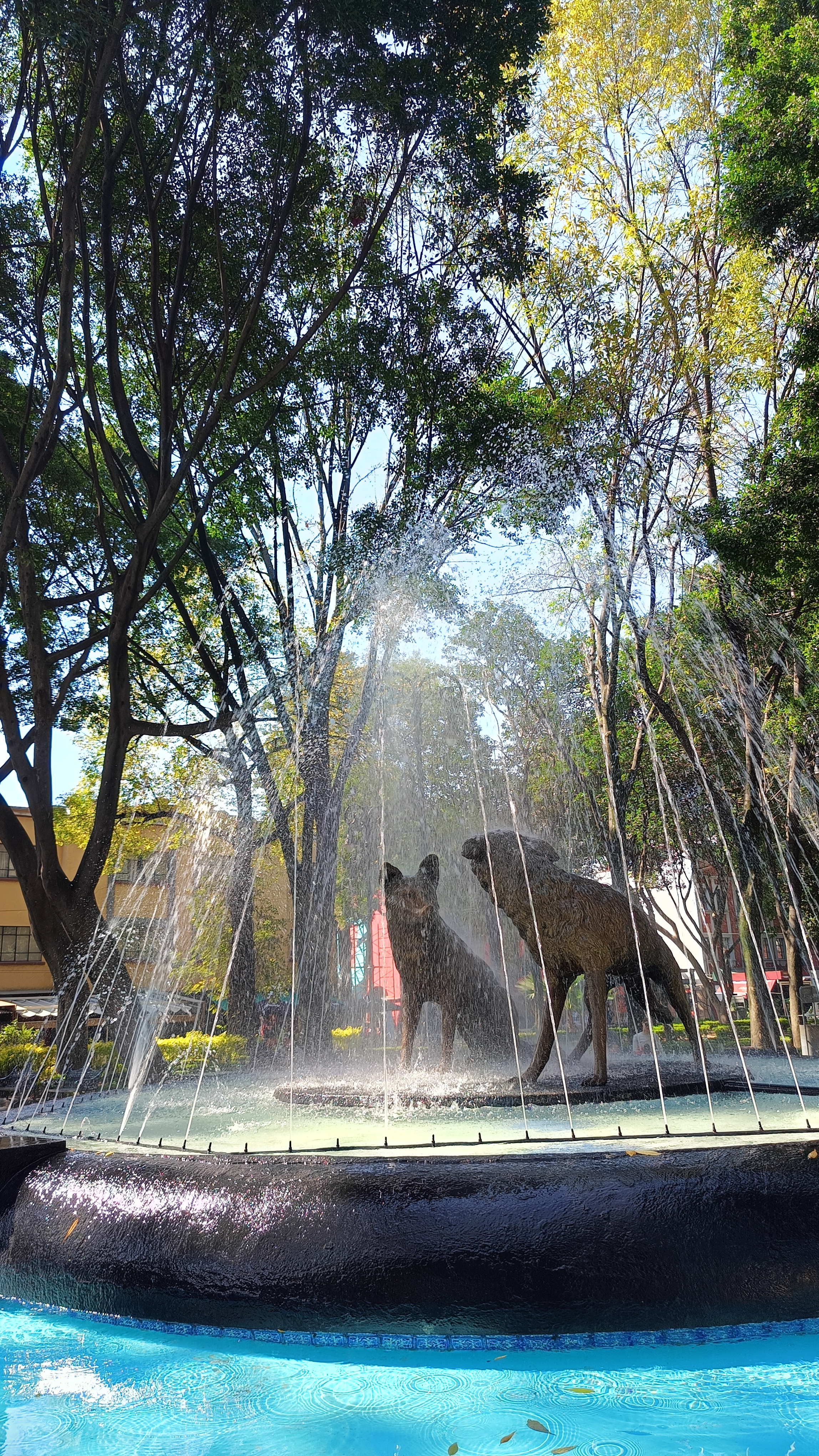Antiguo Palacio De Coyoacán image 7