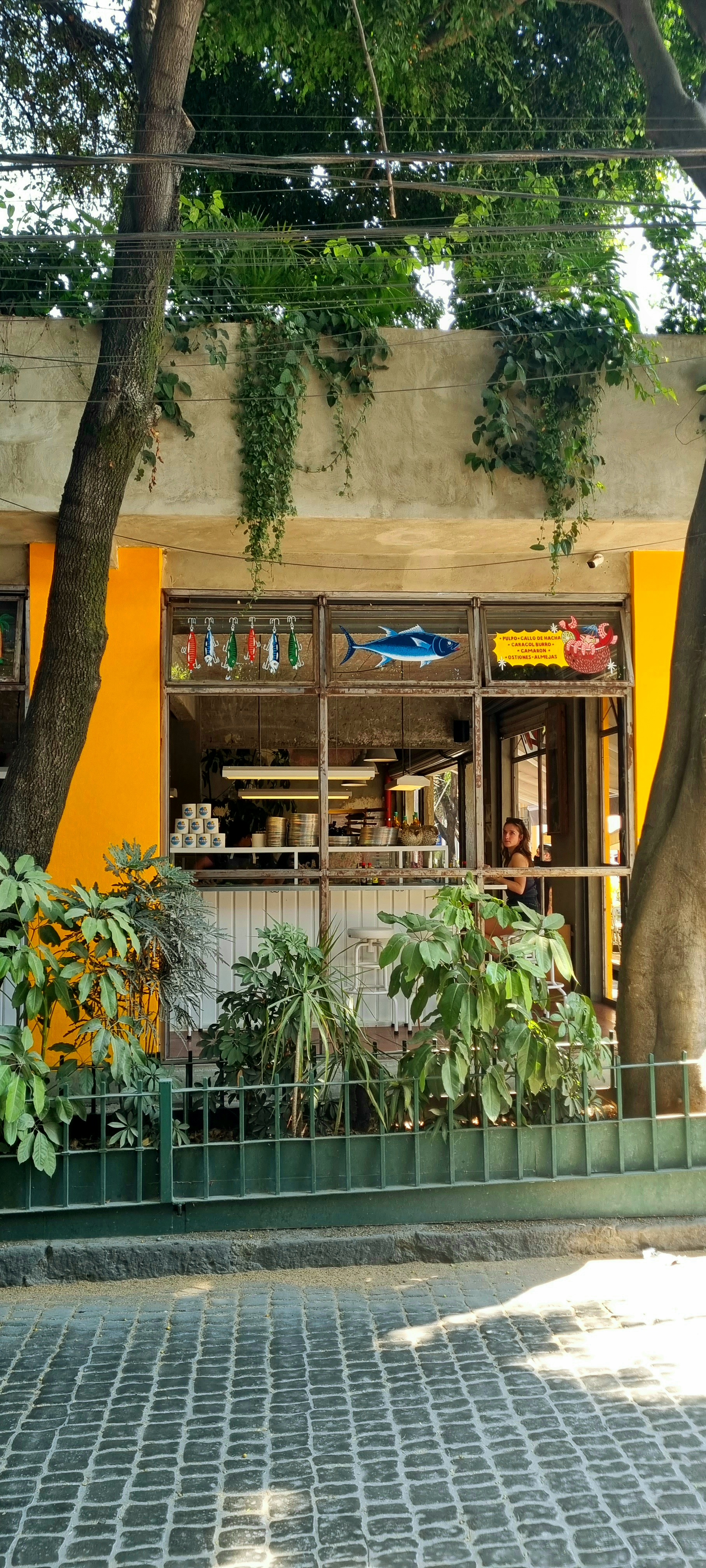 Mi Compa Chava image 1