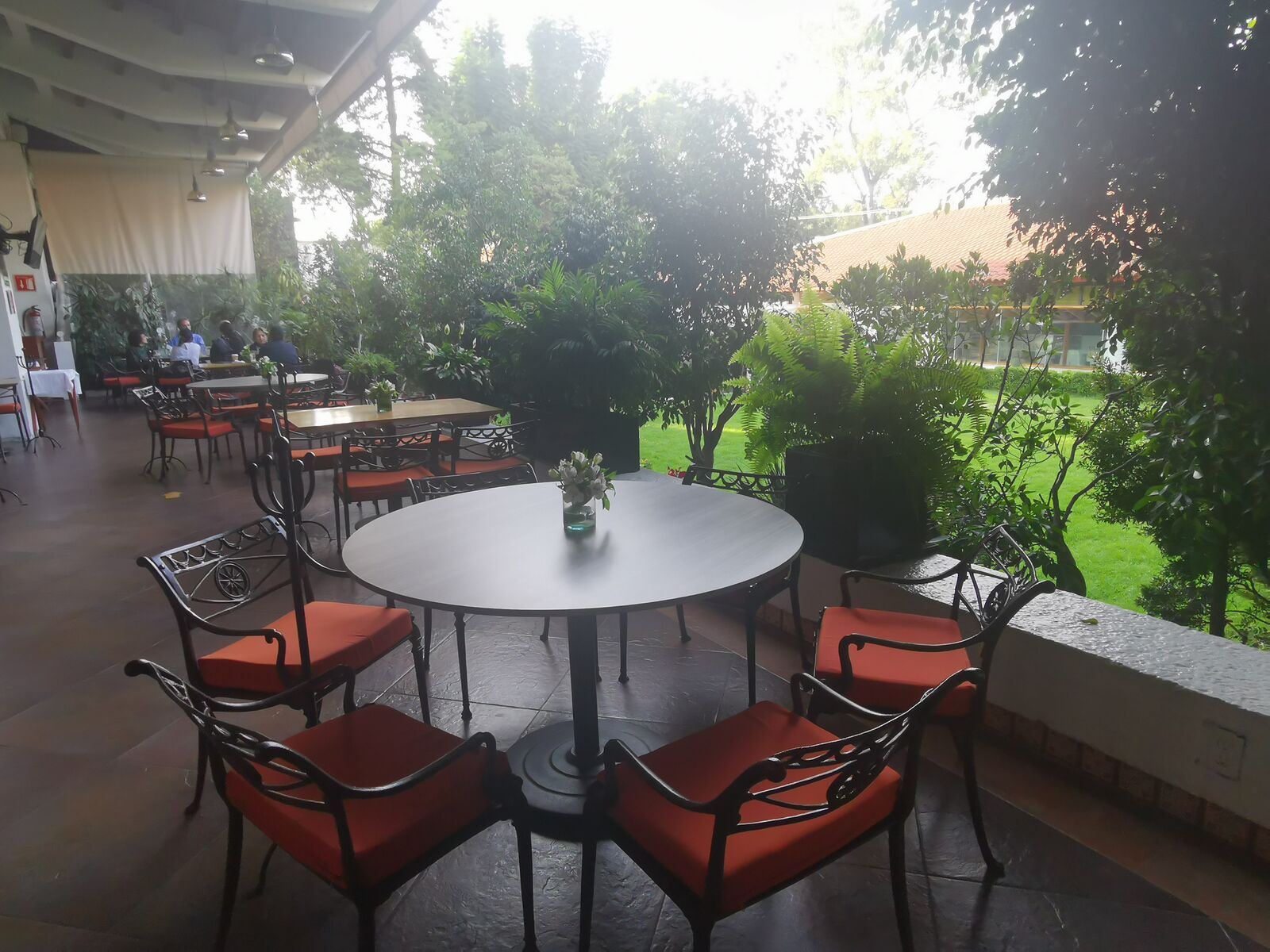 El Tajín image 10