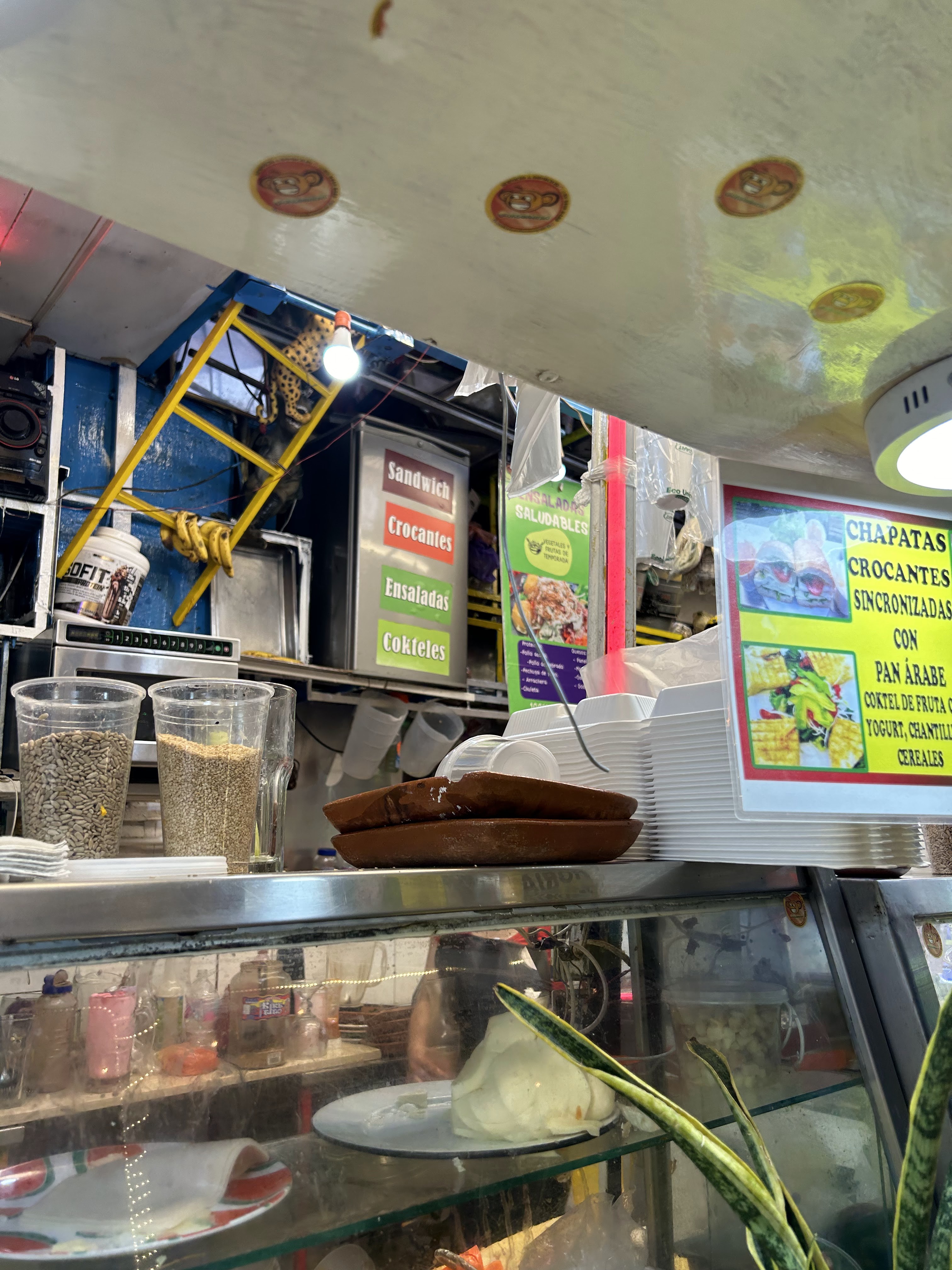 COKTELEANDO COYOACÁN image 7