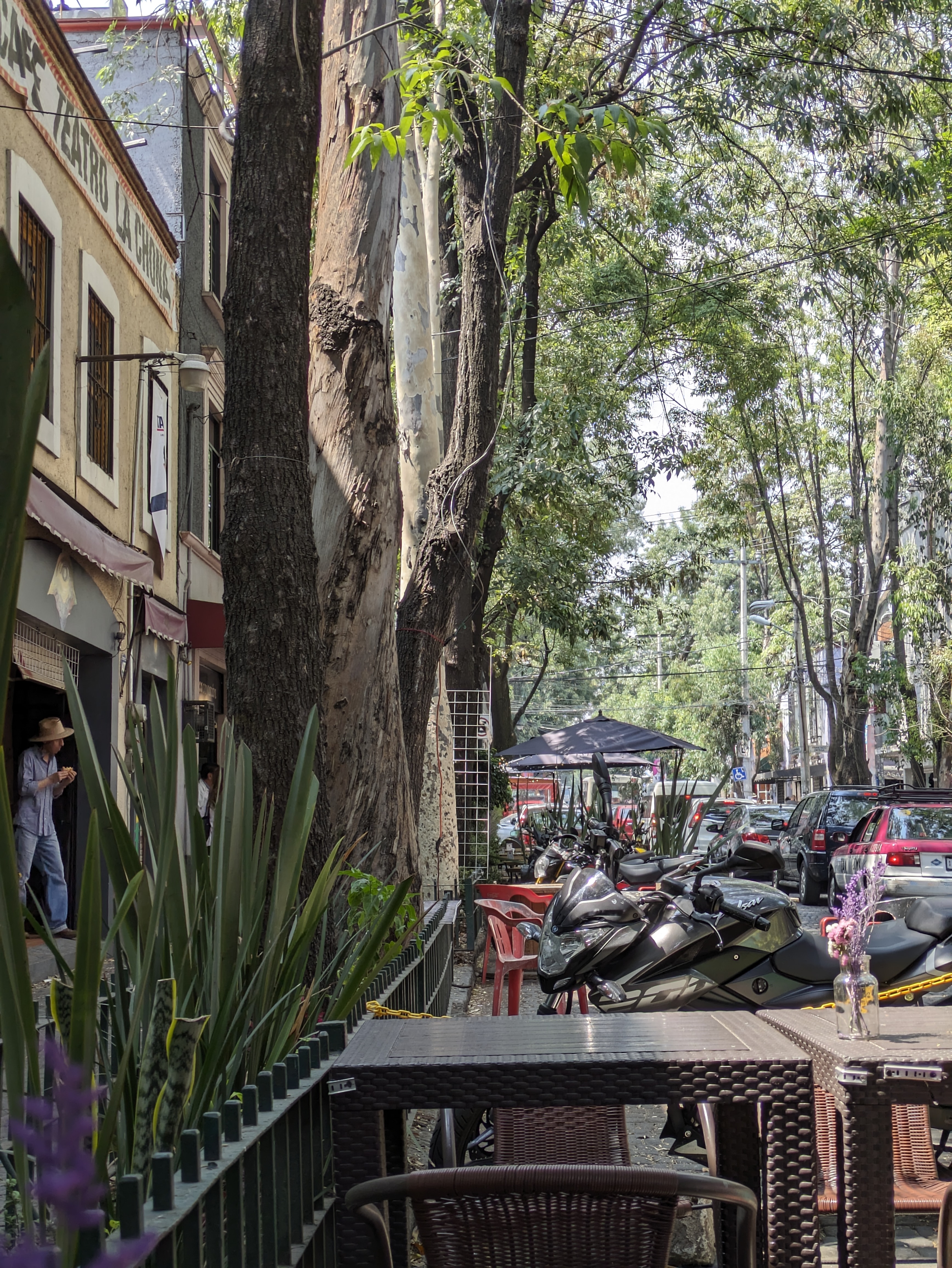 Tucán Coyoacán image 5