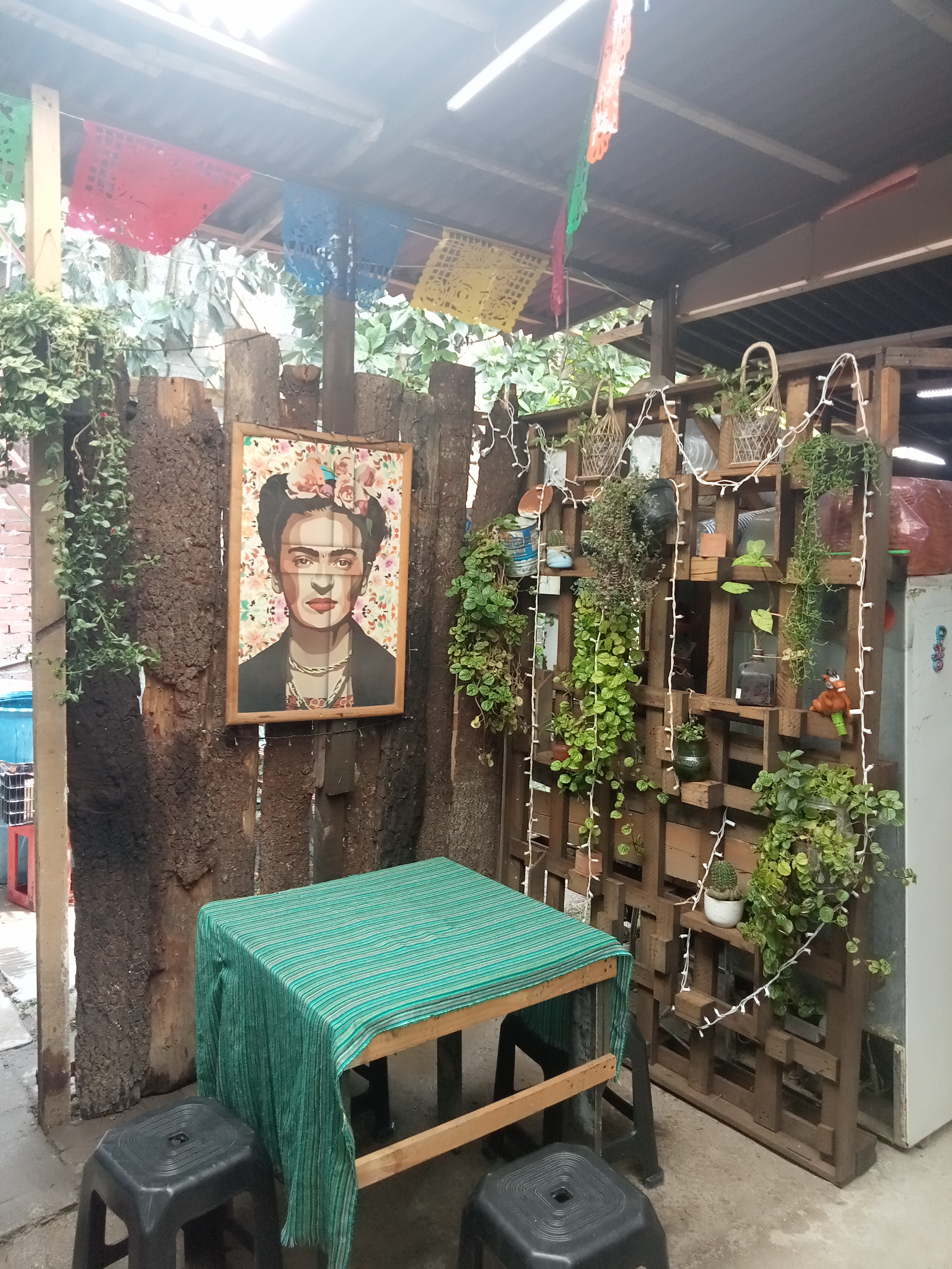 LA MALQUERIDA image 1