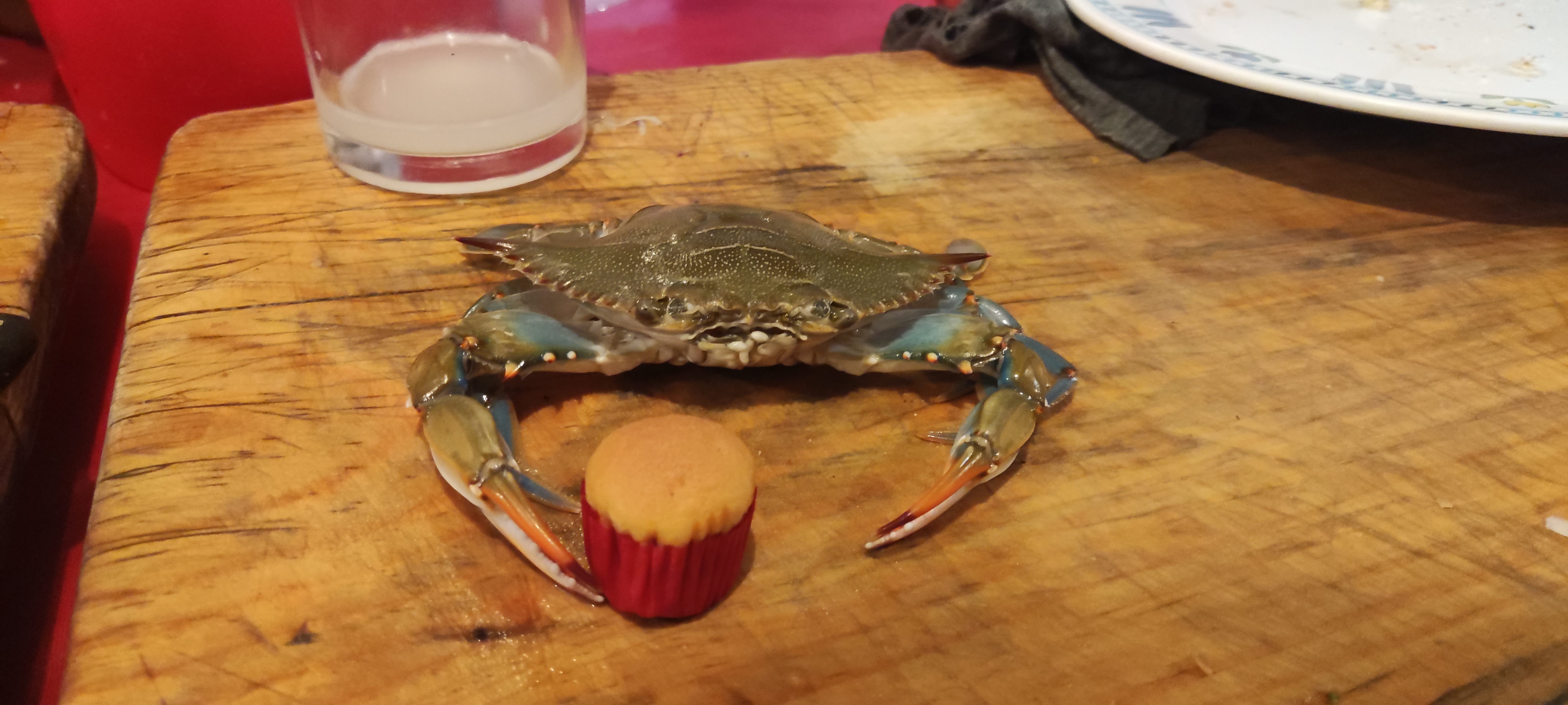 Marisqueria "El presi " image 7