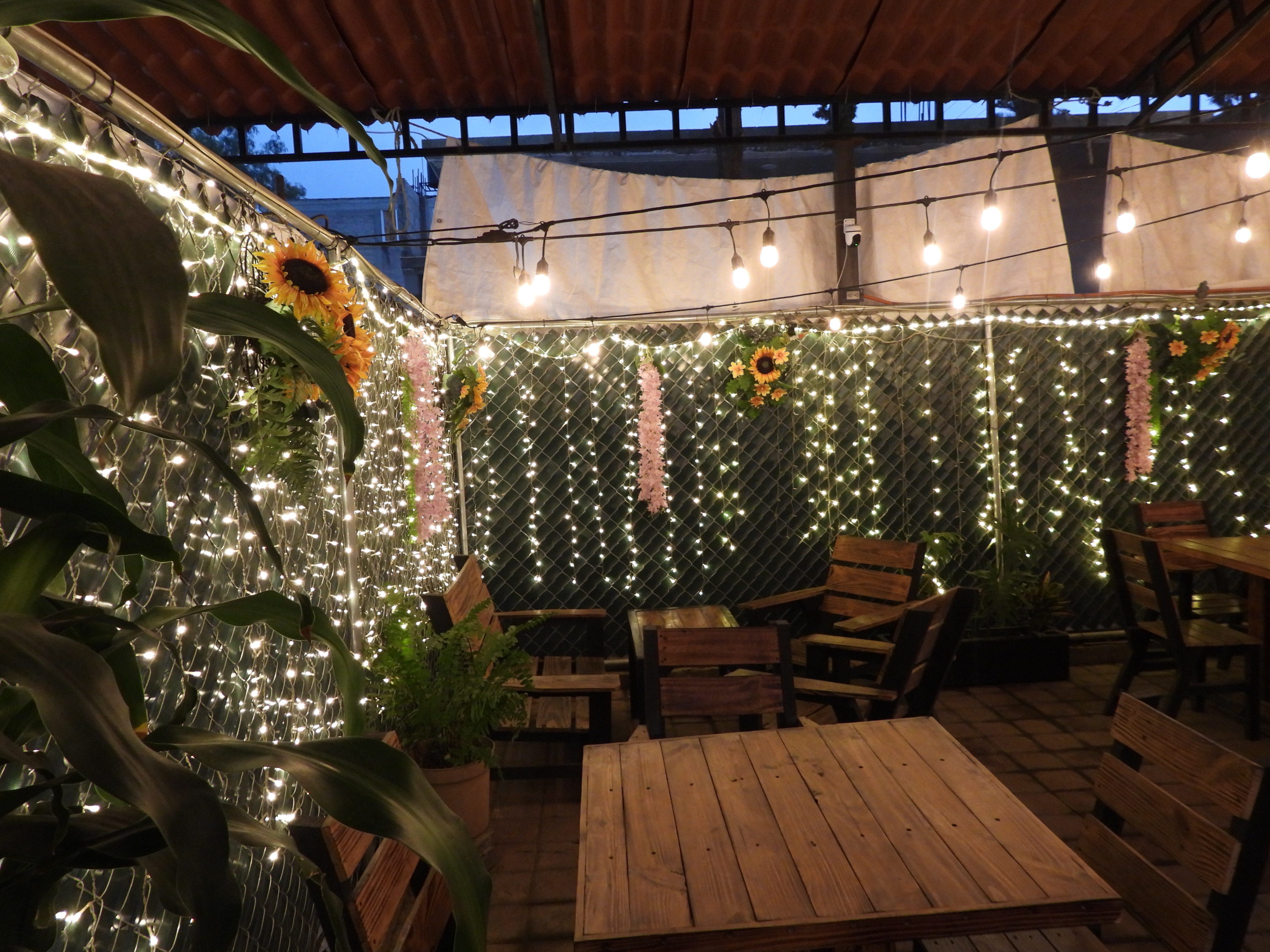 Terraza Brava image 1