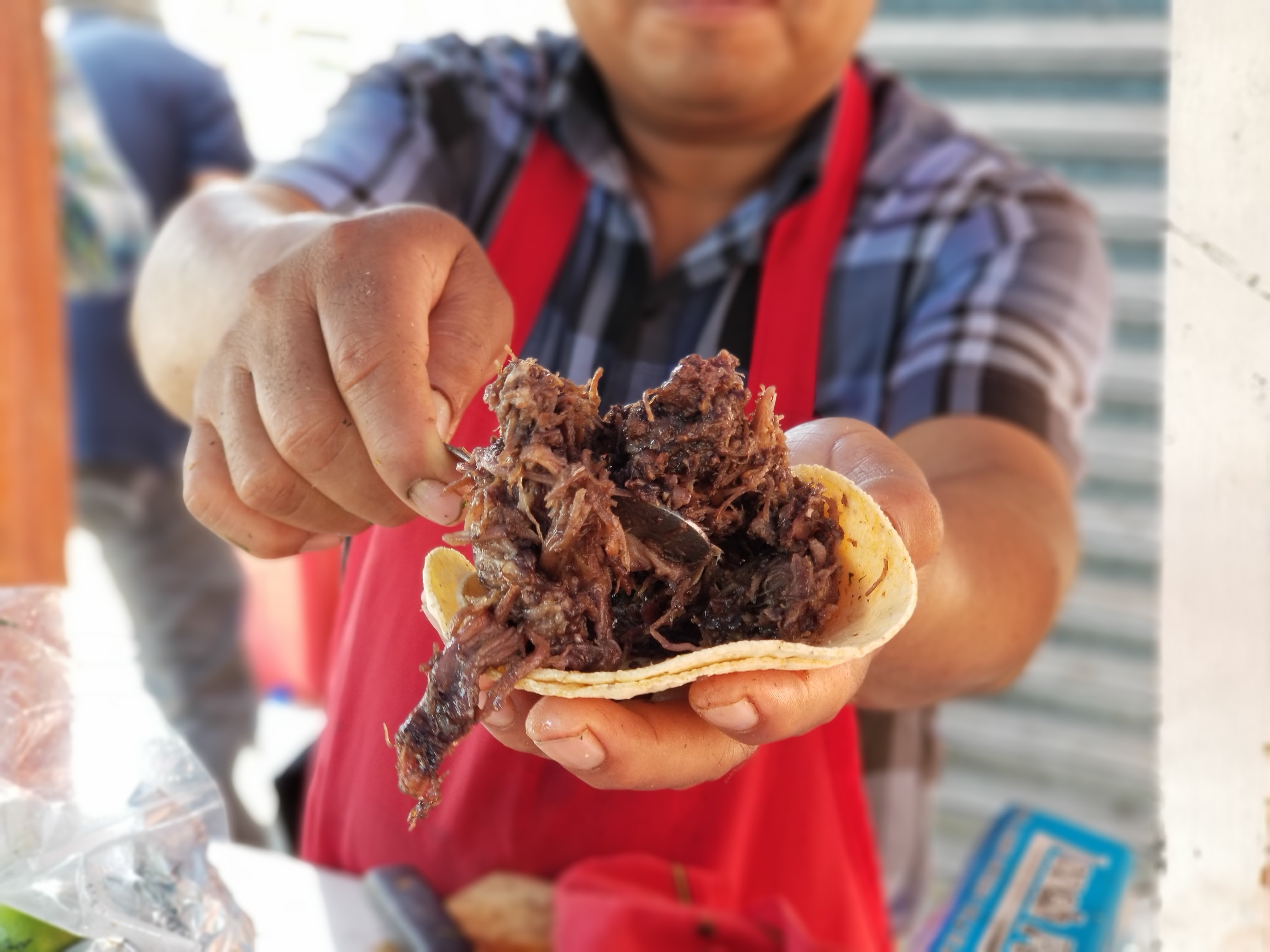 Tacos De Barbacoa "Alfredo" image 7