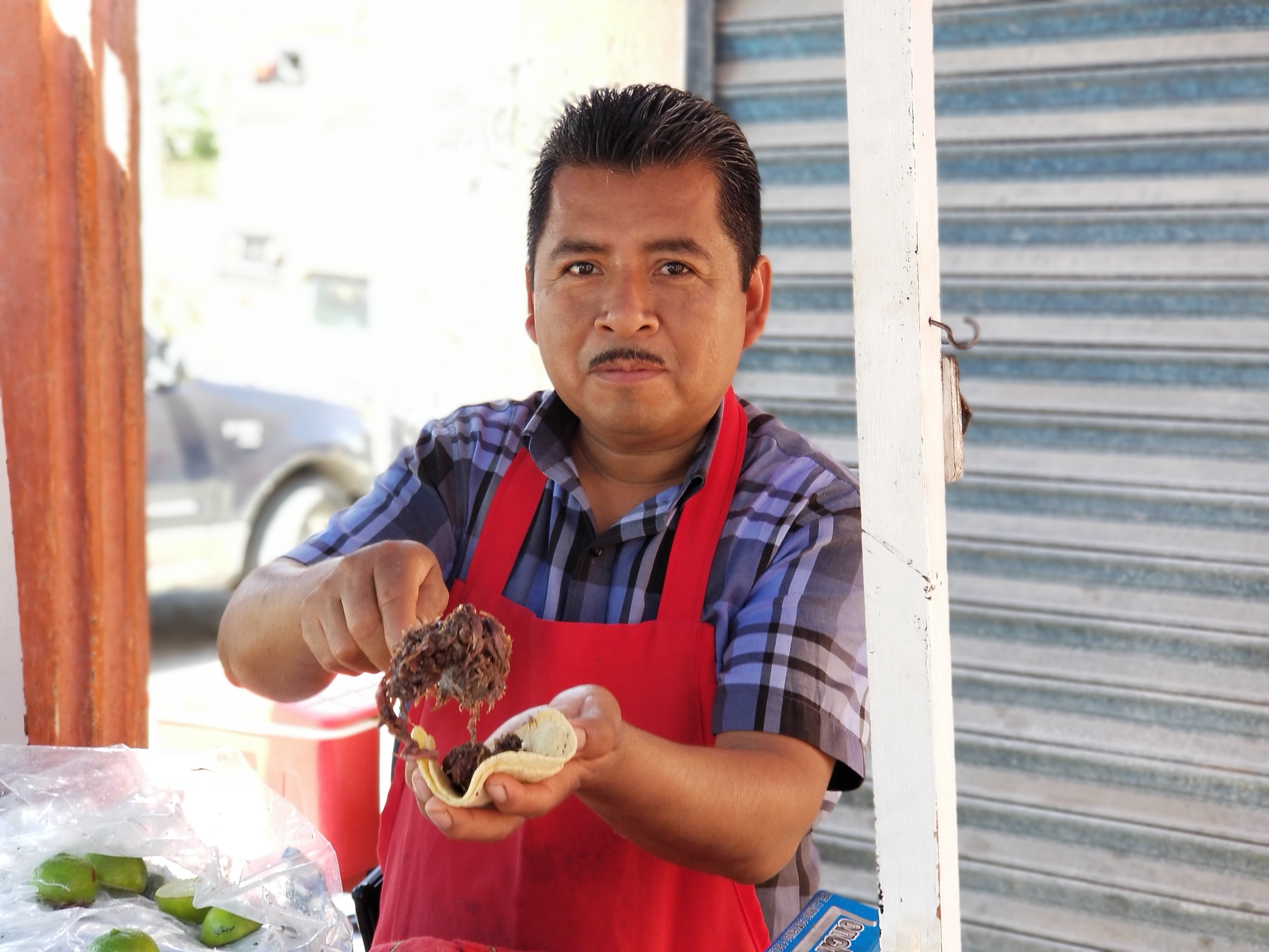 Tacos De Barbacoa "Alfredo" image 10
