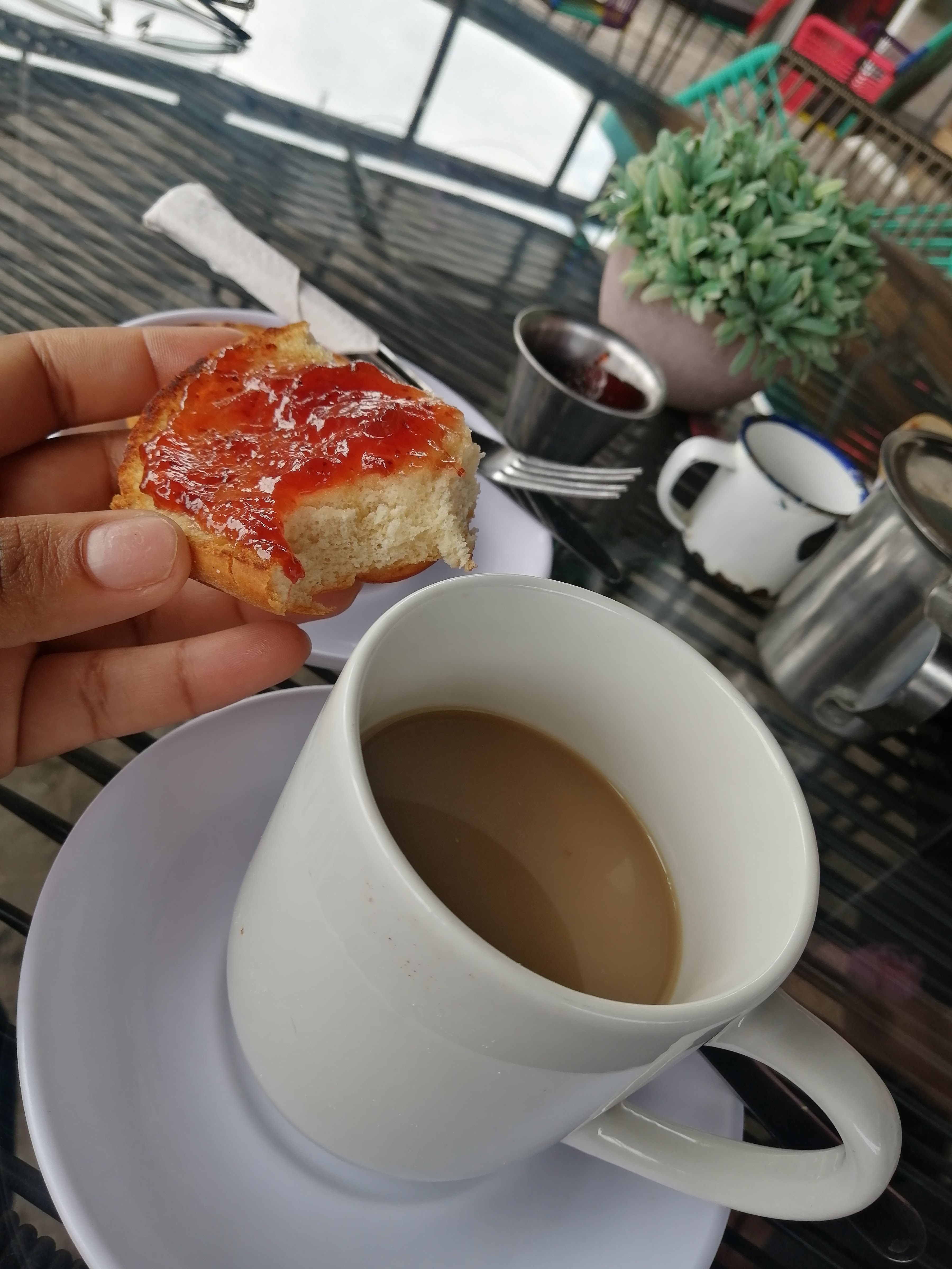 Sal Y Pimienta image 3