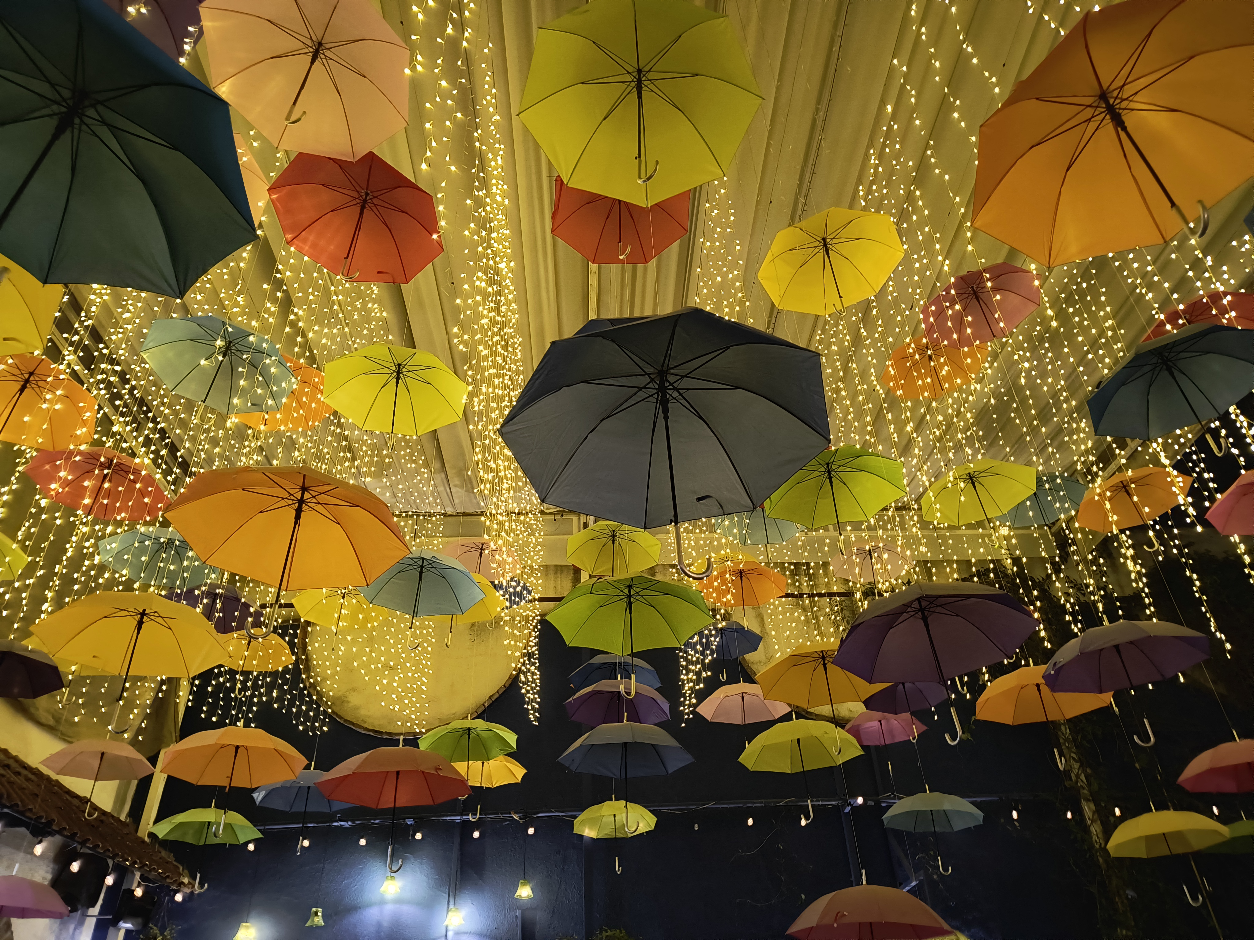 La Mata Tinta image 4