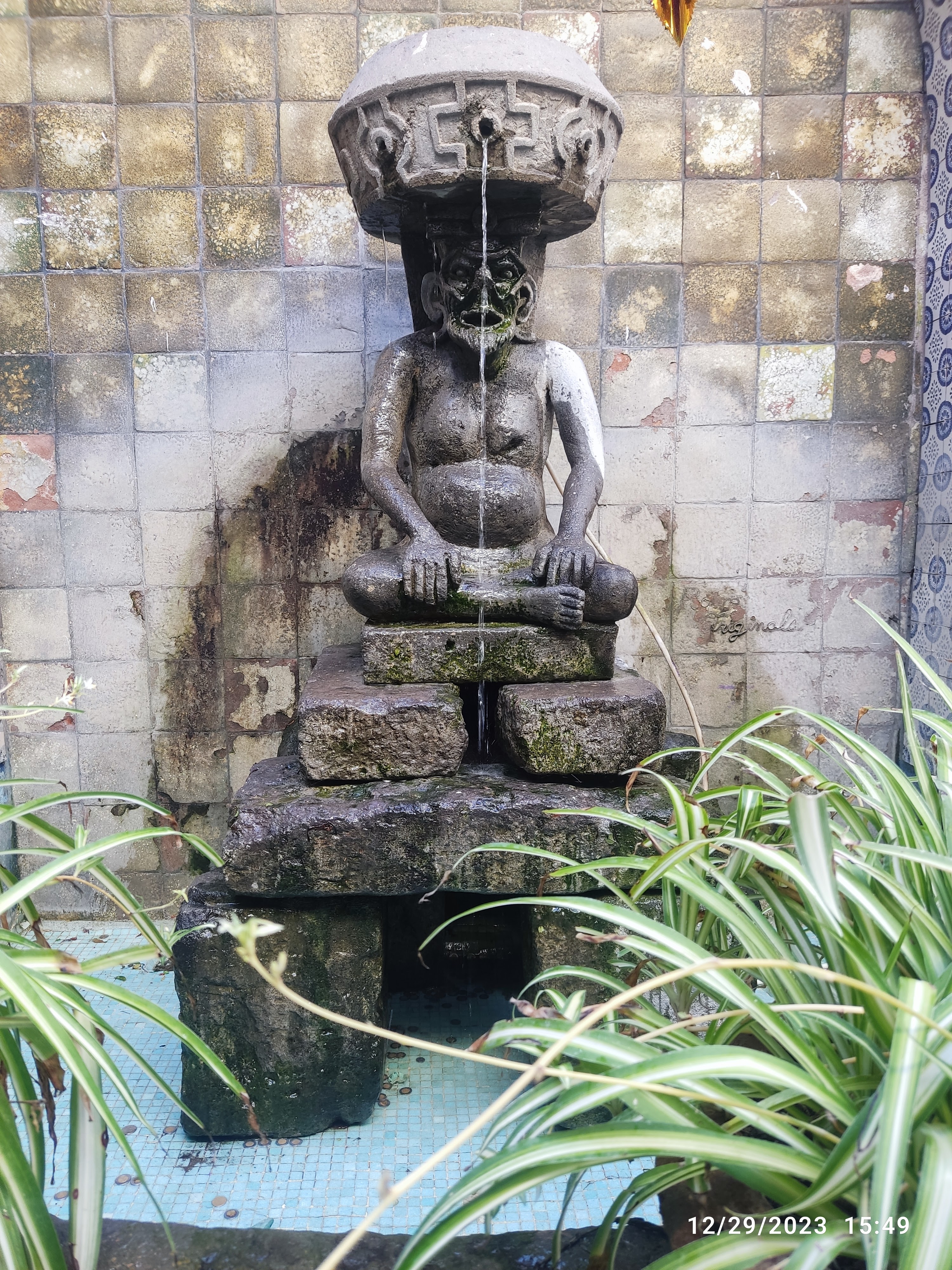 La Mata Tinta image 9