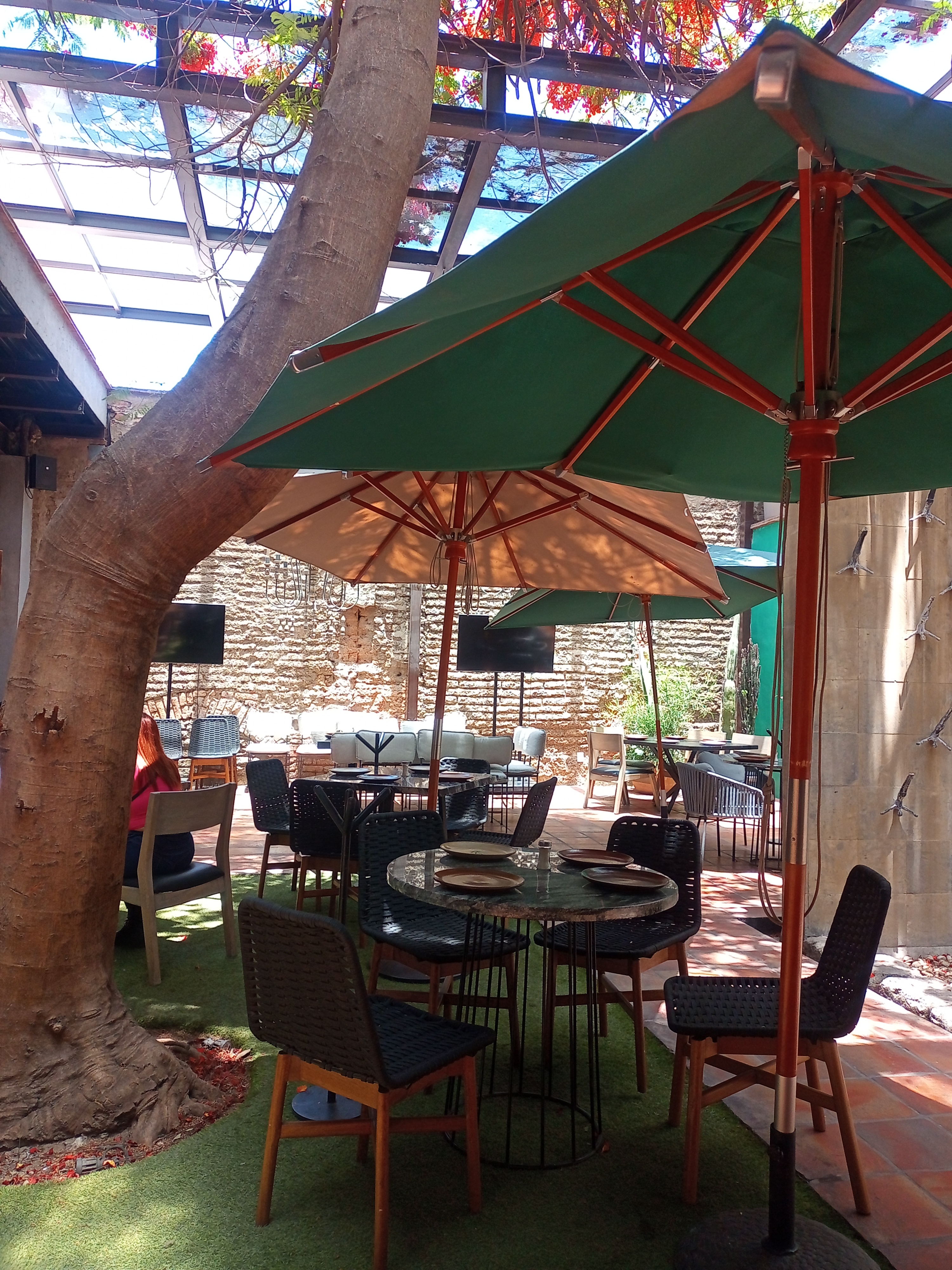 Agave Restaurante & Bar image 1