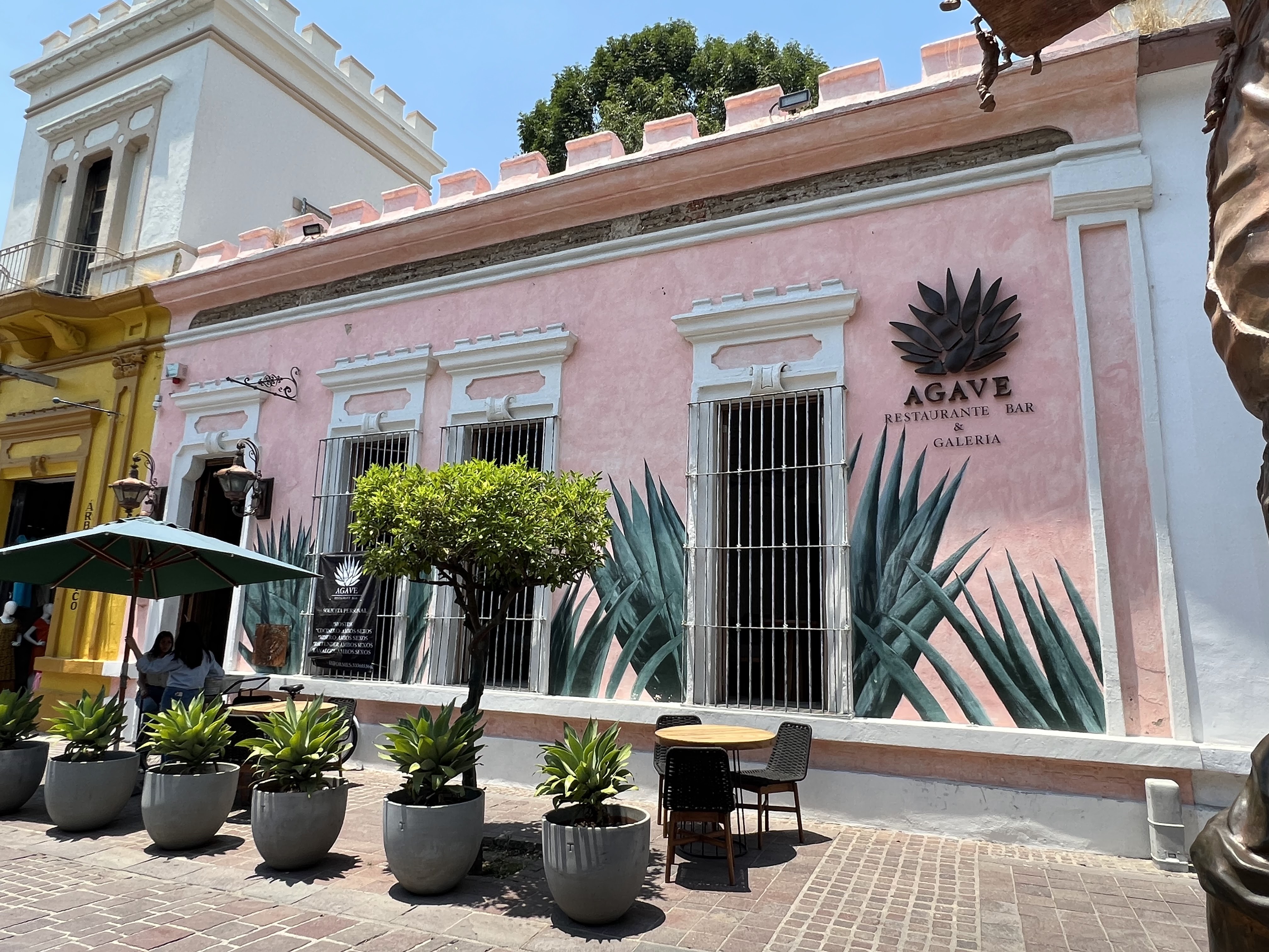 Agave Restaurante & Bar image 5