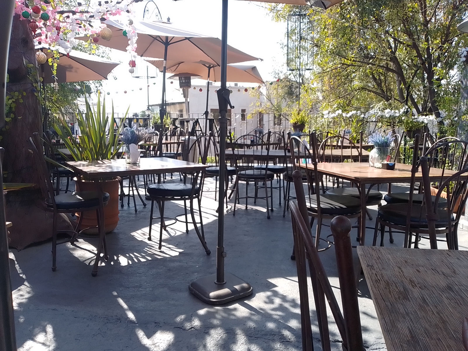 Maroffa Restaurante image 4