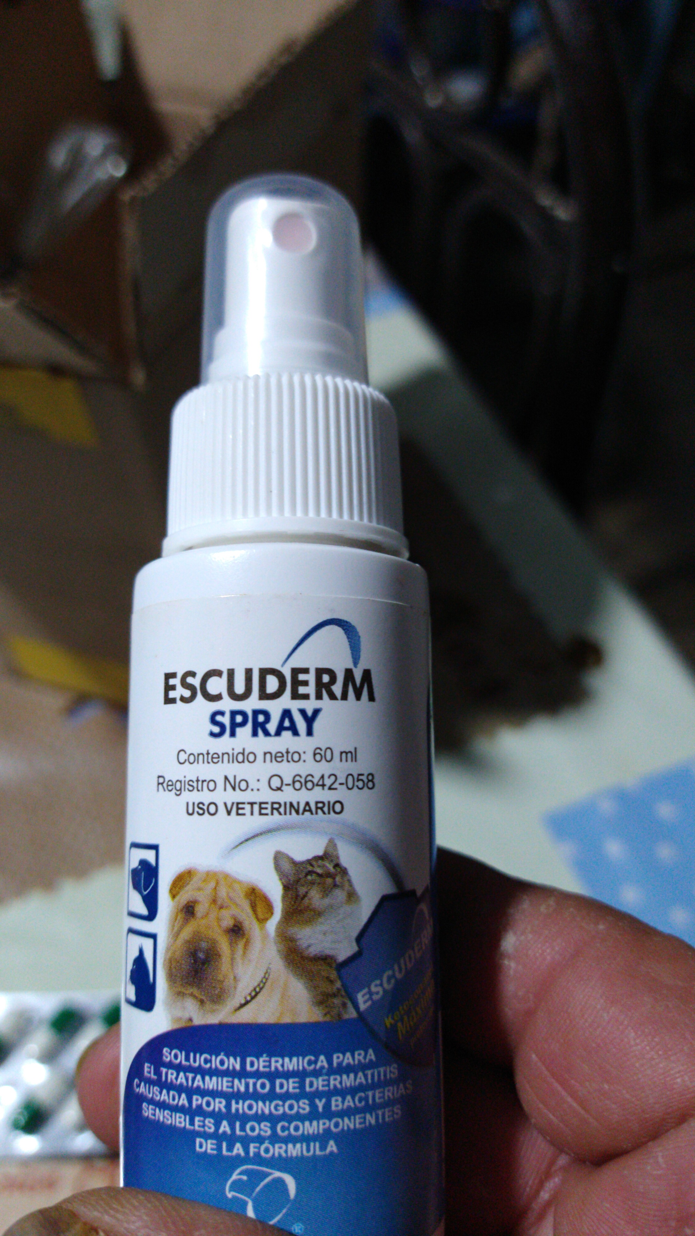 Taqueria El Consomecito image 9