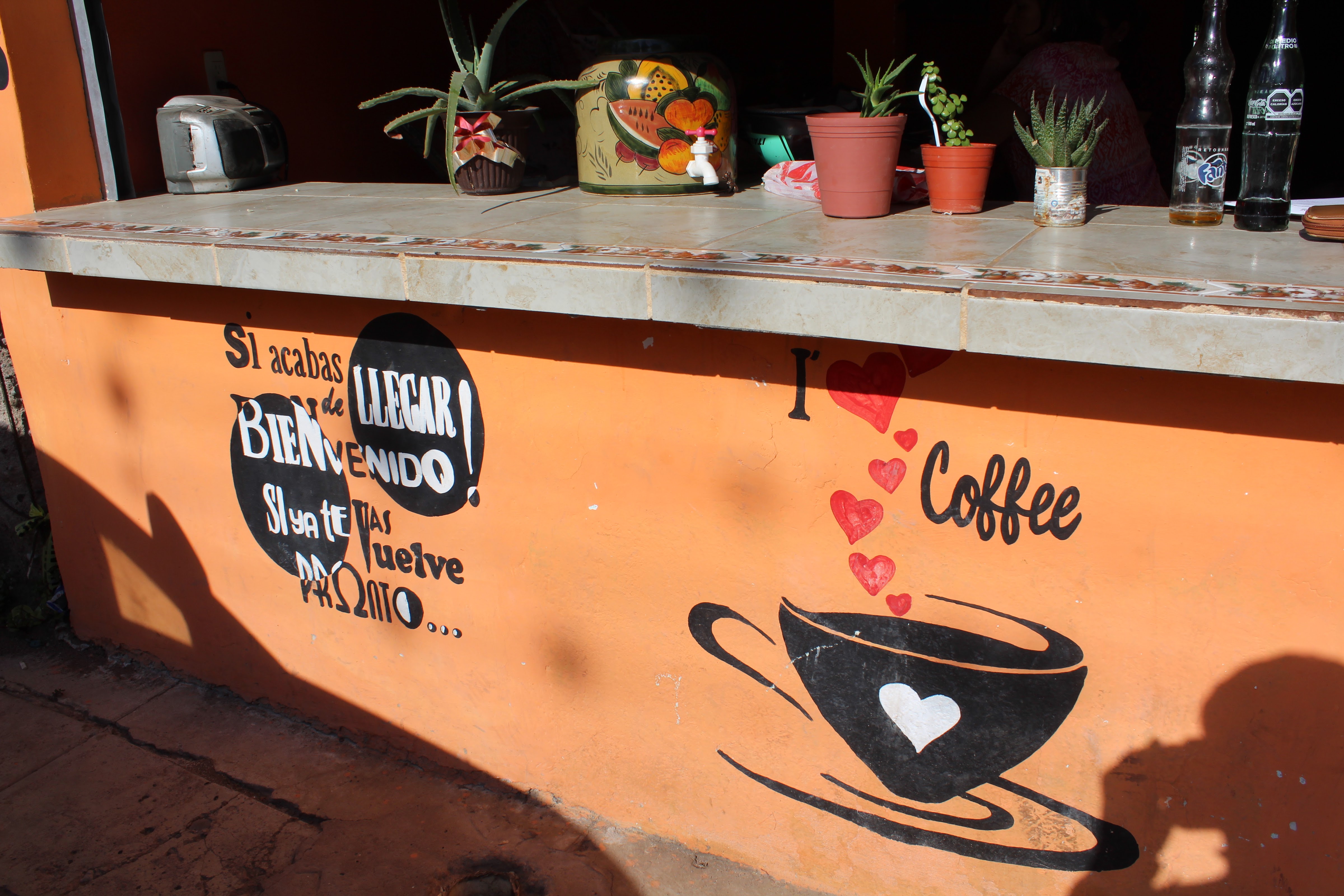 Antojitos La Güera image 1