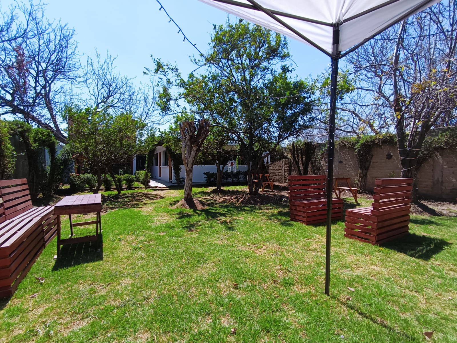 Jardín Amapola image 6