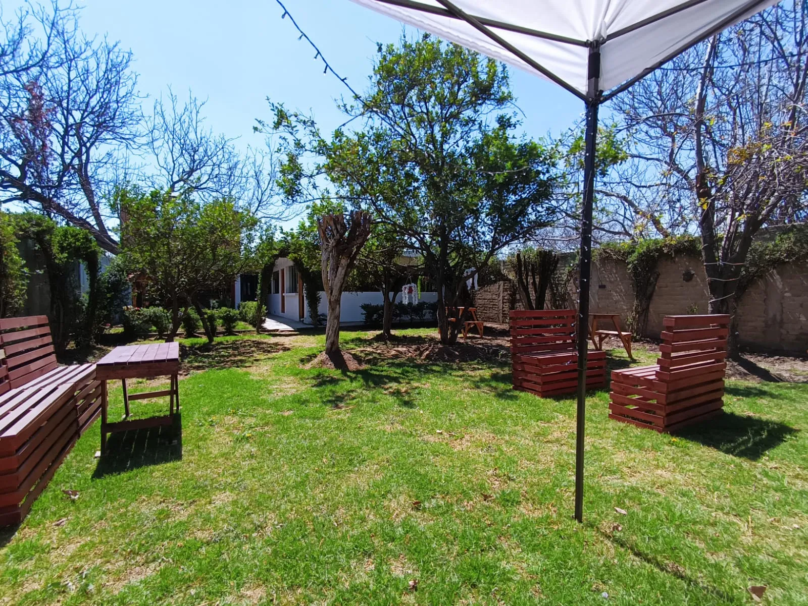 Jardín Amapola image 6